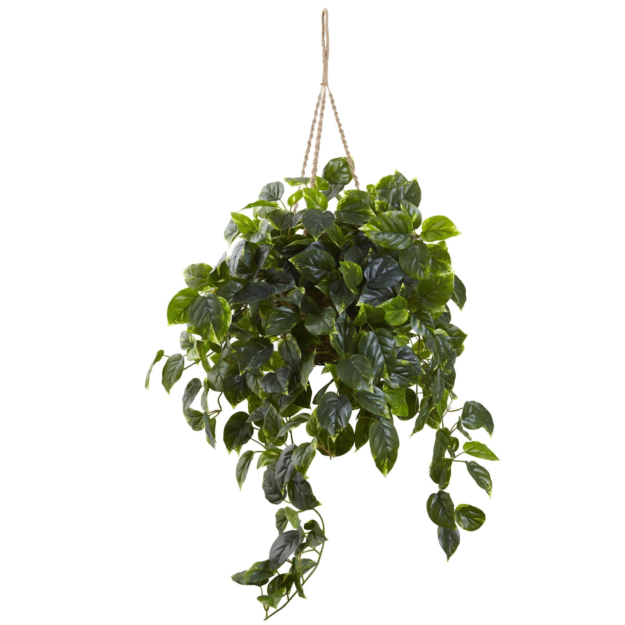 Pothos Hanging Basket Silk Plant - Nearly Natural