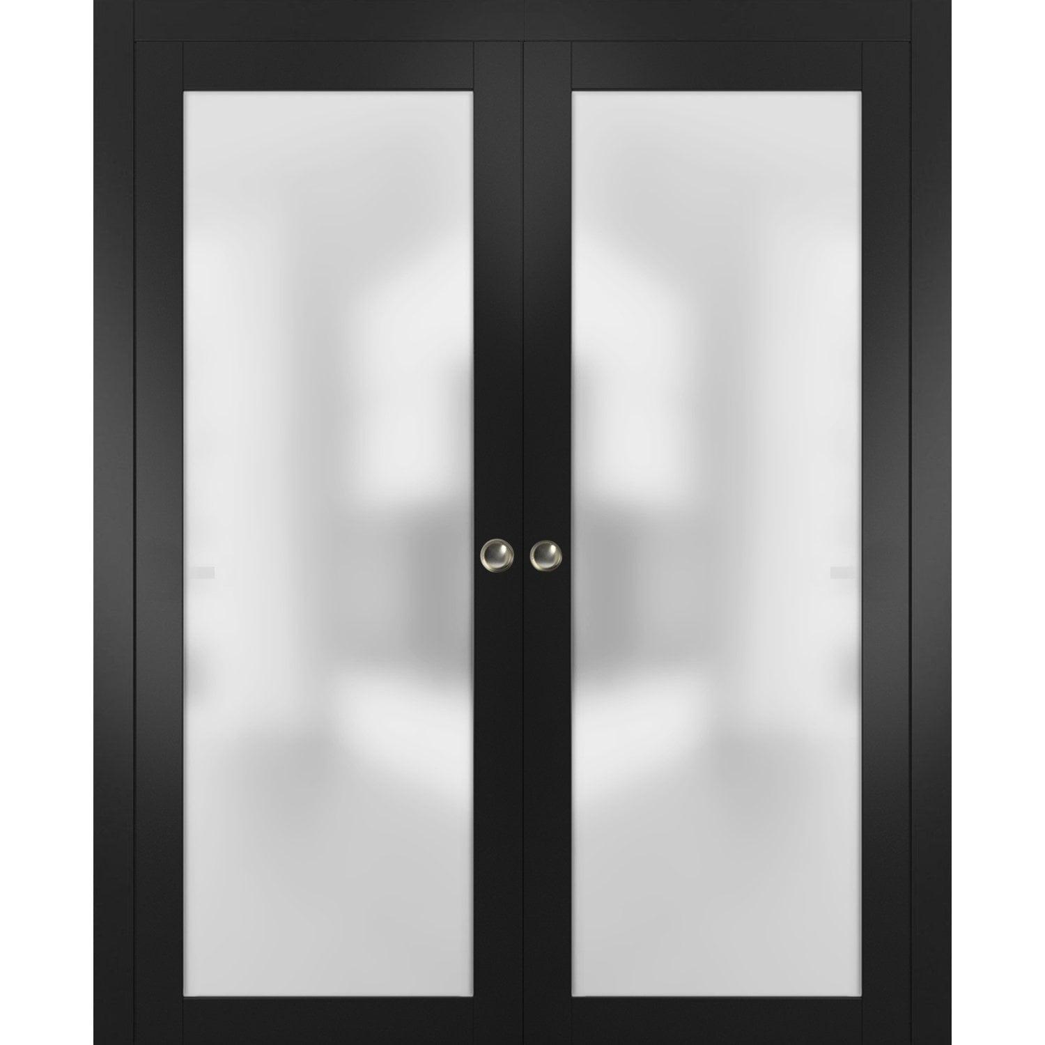 Black Double Sliding Pocket Door with Frosted Glass Panels