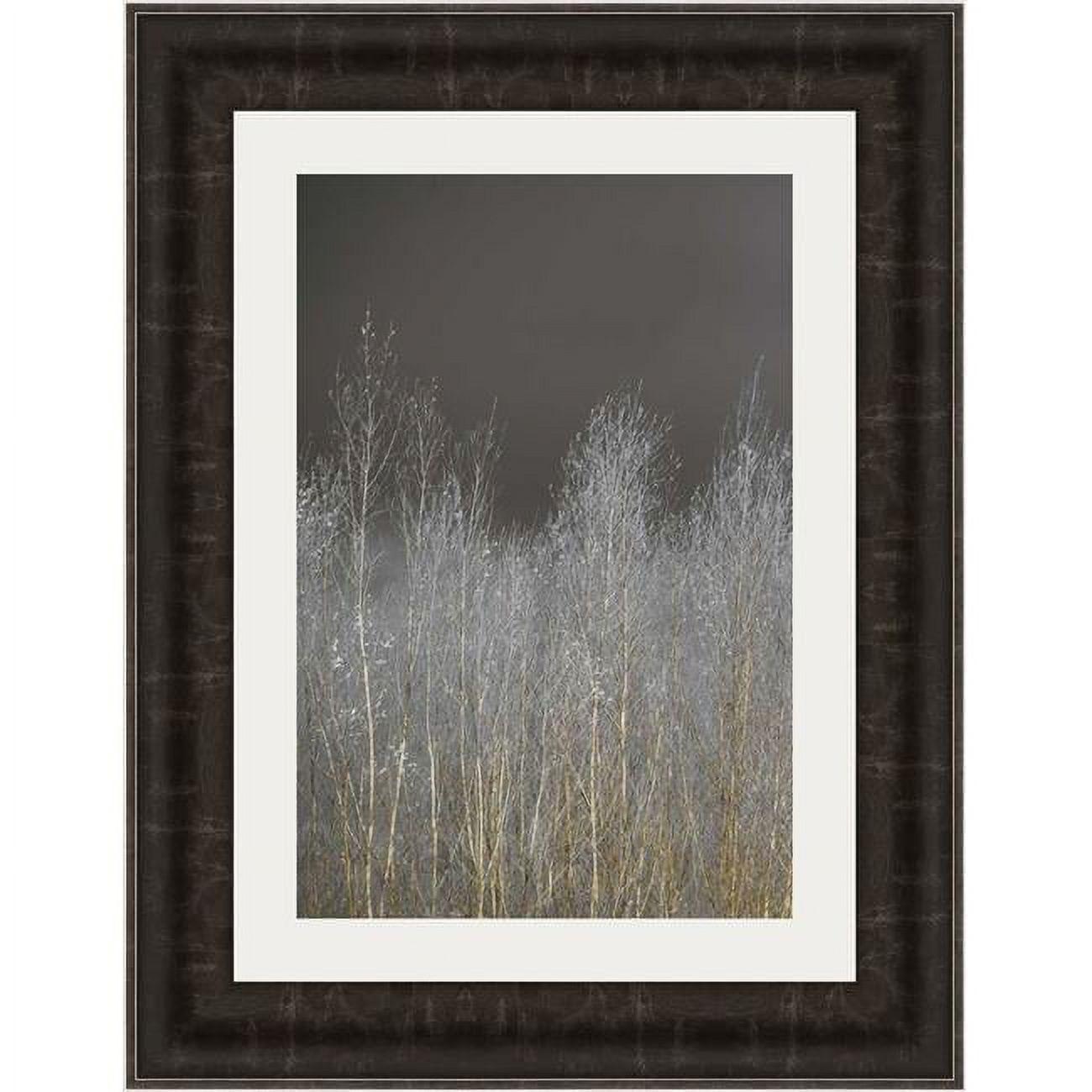 25 x 19 in. Silver Forest II Framed Fine Art Print