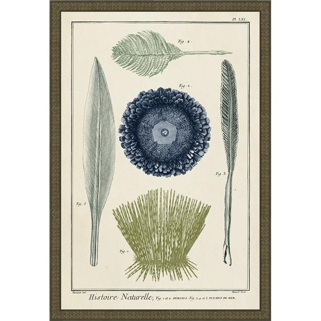 Highland Dunes 'Ocean Oddity II' Framed Graphic Art | Wayfair