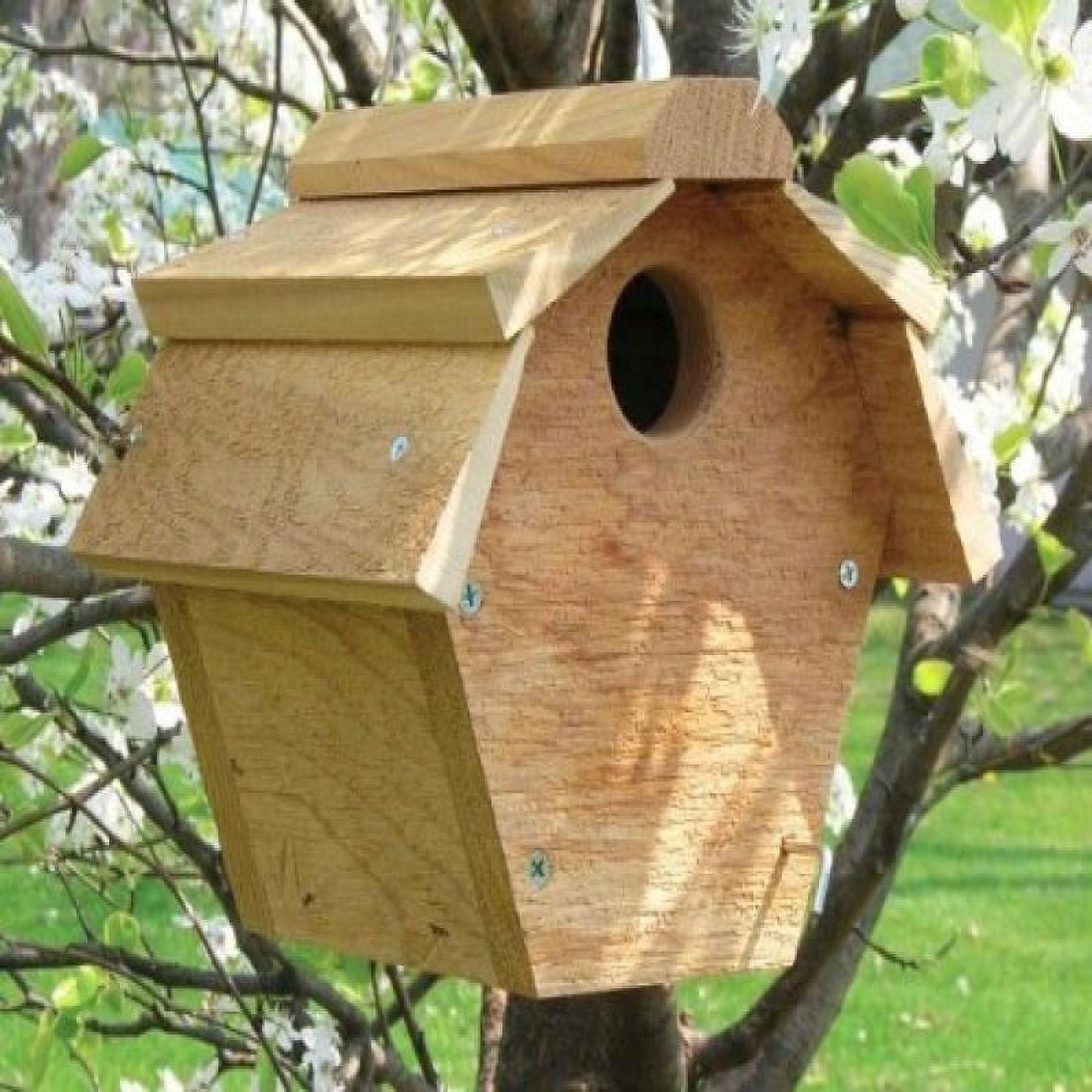 Carolina Wren Cedar Birdhouse with Pivoting Floor