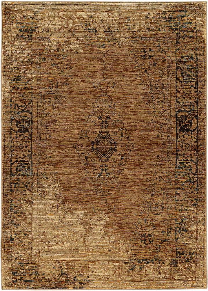 Gold and Brown Oriental Rectangle Area Rug