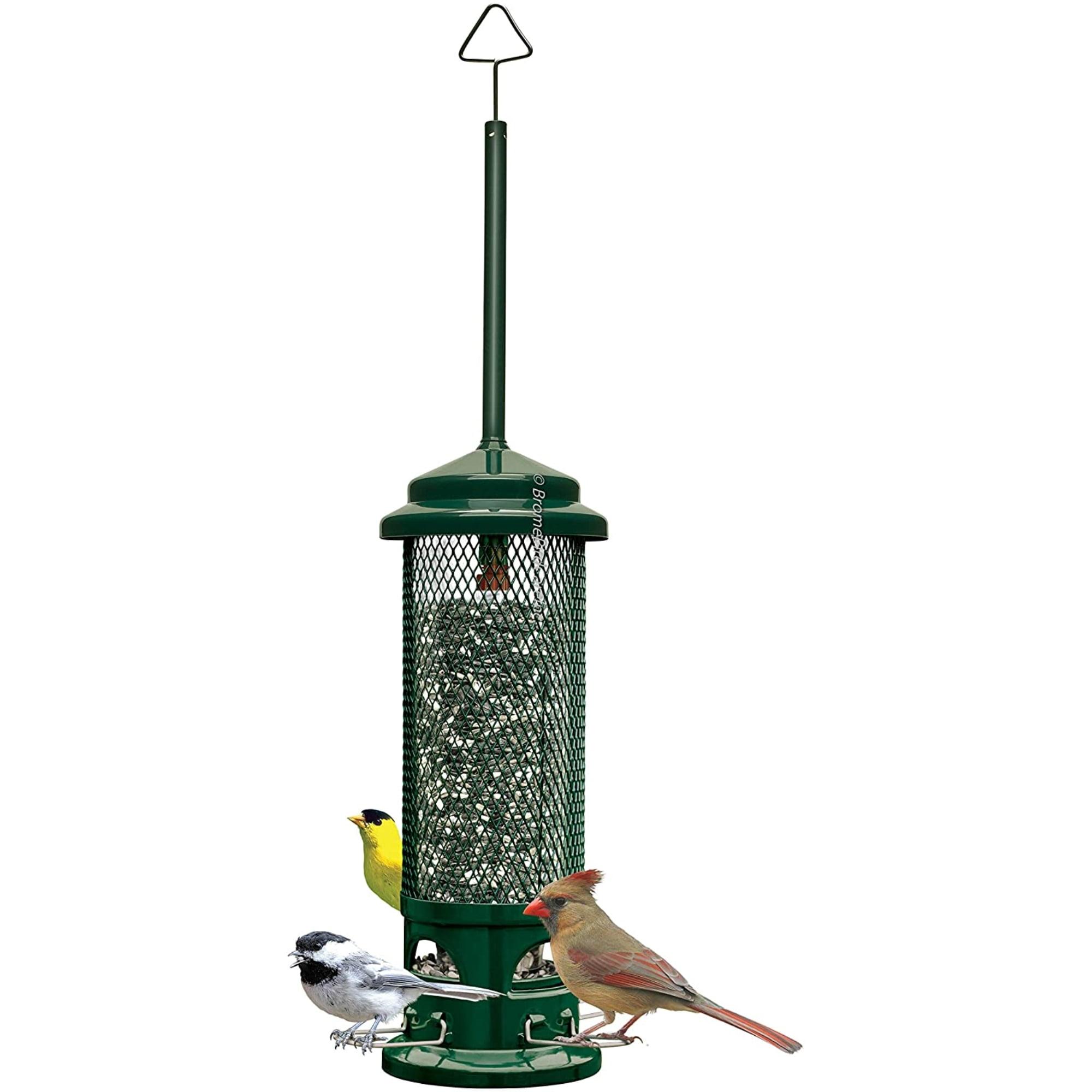 Green Metal Squirrel Resistant Hanging Tube Bird Feeder