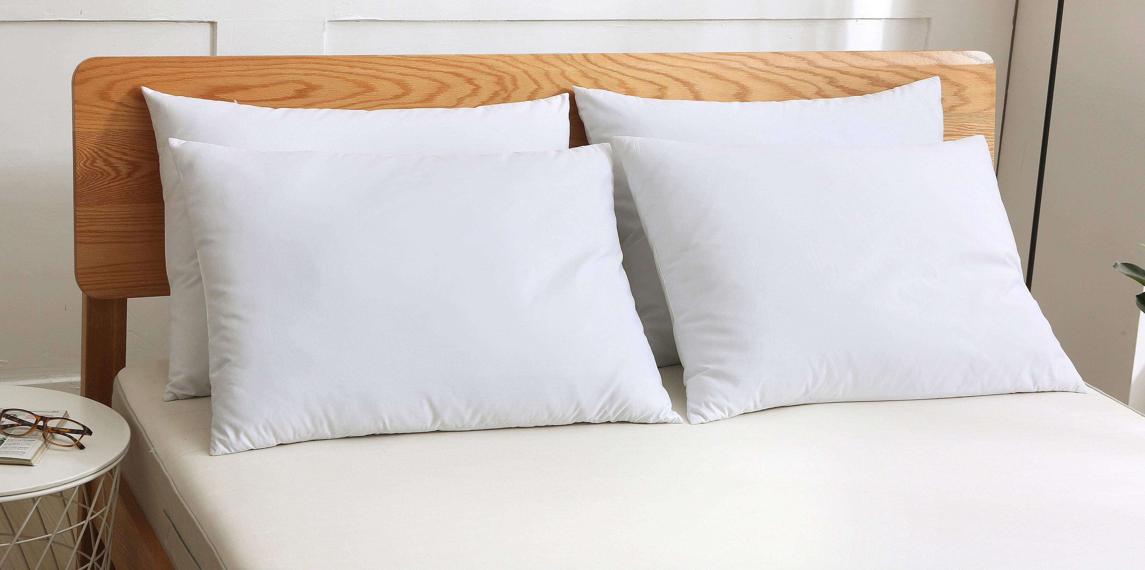 White Goose Feather Hypoallergenic Bed Pillow 2-Pack