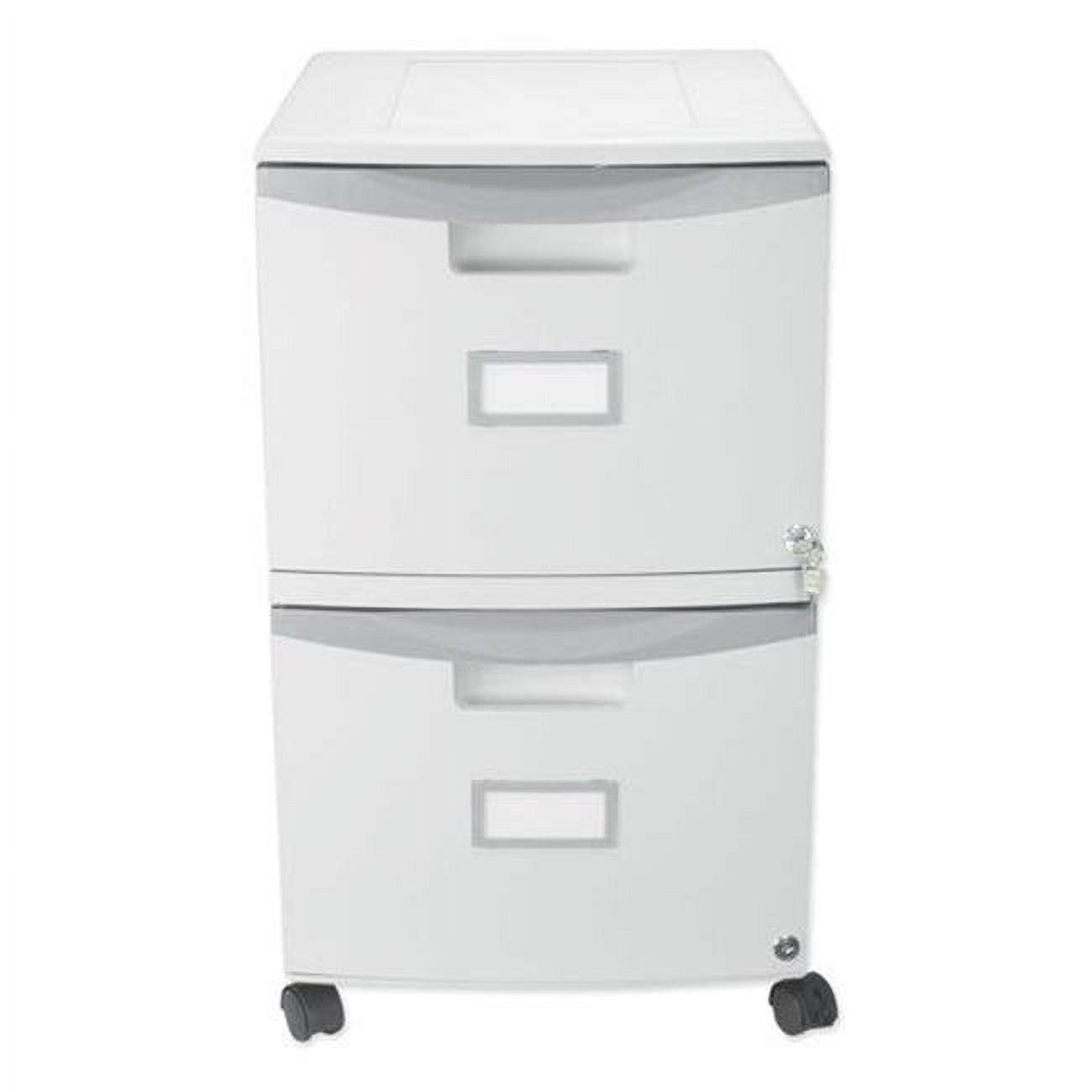 Gray Plastic 2-Drawer Mobile Lockable File Cabinet