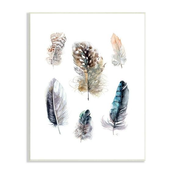 Stupell Industries " Arrangement Of Feathers Soft Watercolor Bird Patterns " by Verbrugge Watercolor