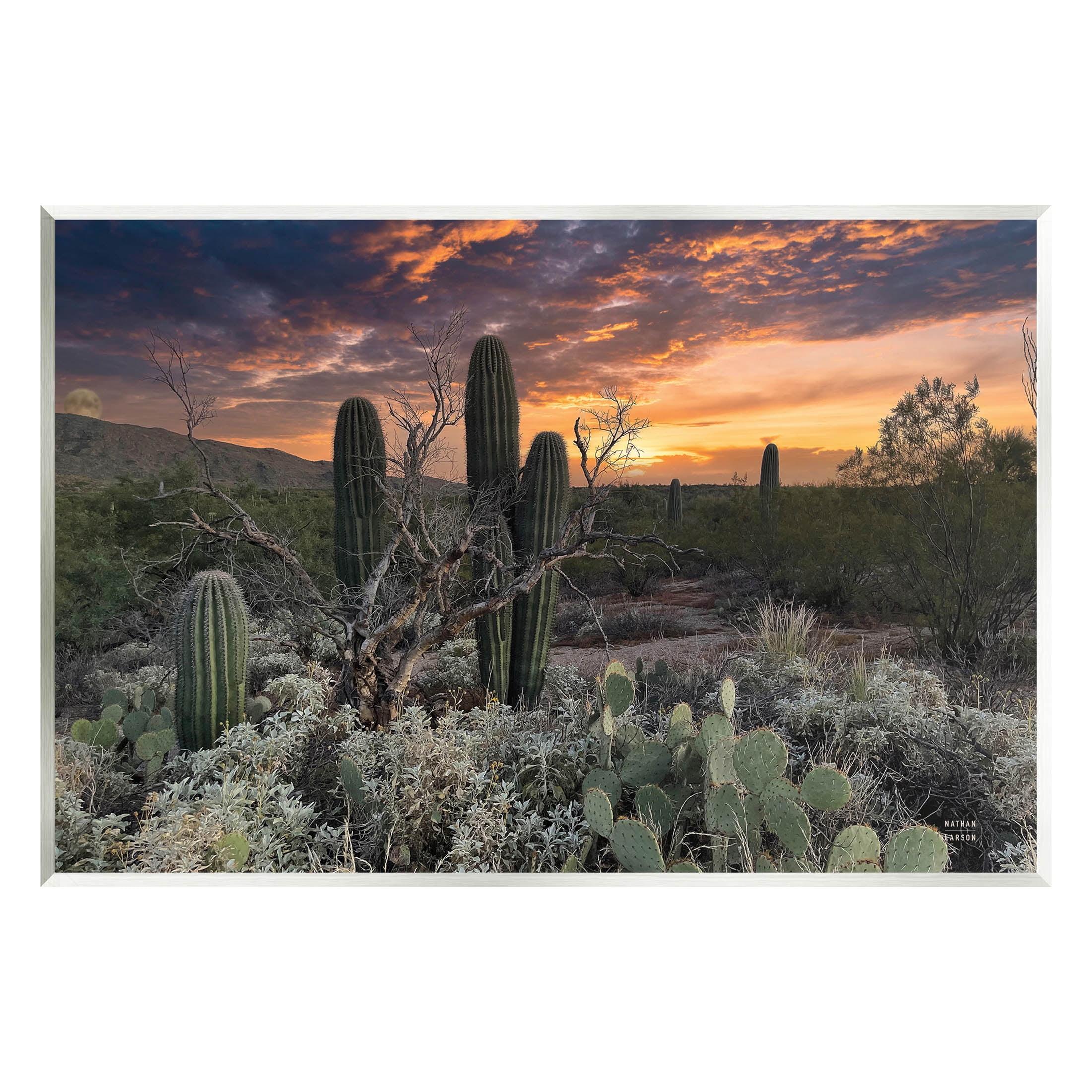 Arid Desert Cactus Sunset Wood Wall Art