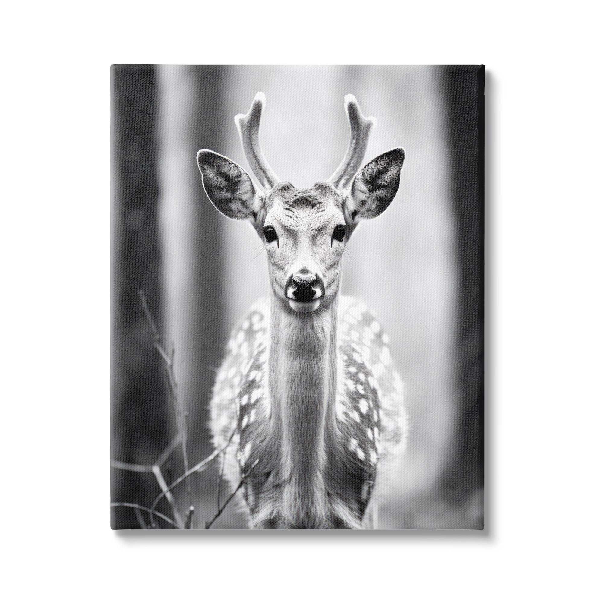 Stupell Industries Baby Fawn Photography Animals & Insects Photography Gallery Wrapped Canvas Art Print Wall Art, 16 x 20