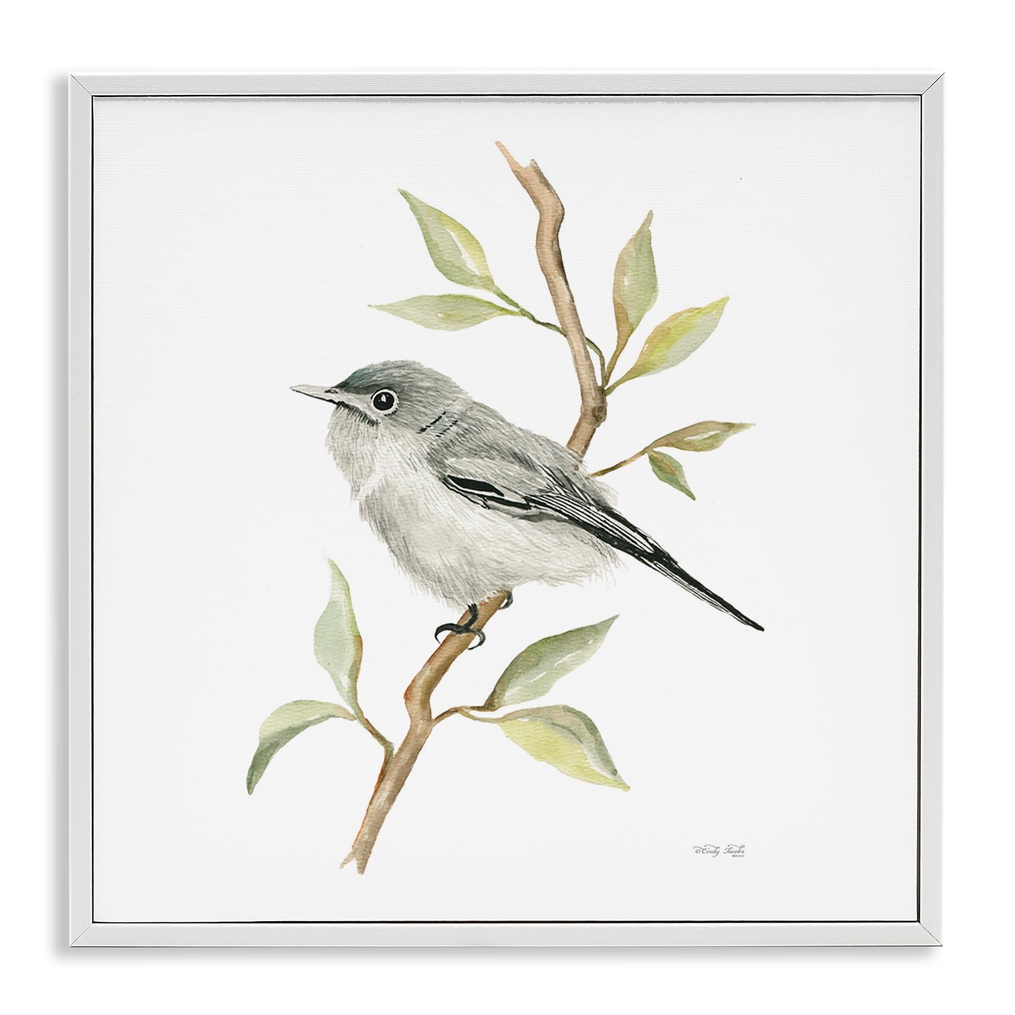 White Framed Bird on Branch Canvas Print, 17 x 17