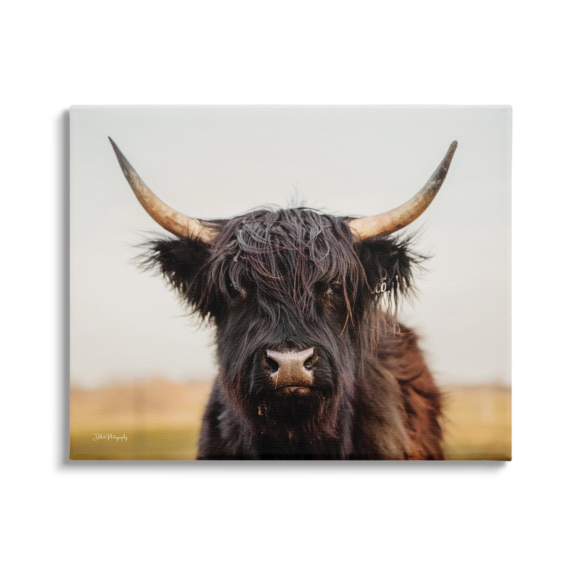 Stupell Industries Black Highland Cow Portrait, 30" x 24"