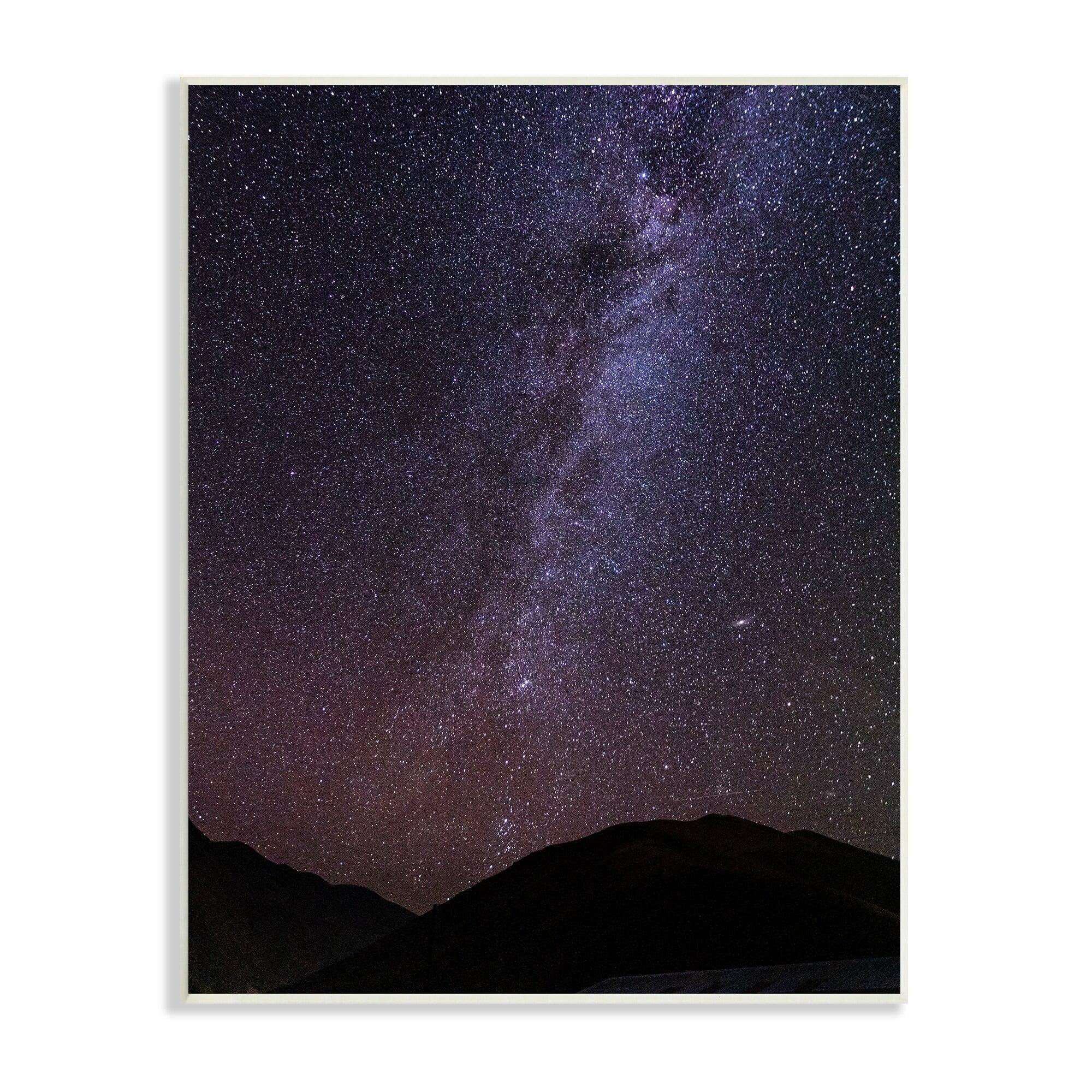 Night Sky Milky Way Landscape Canvas Print