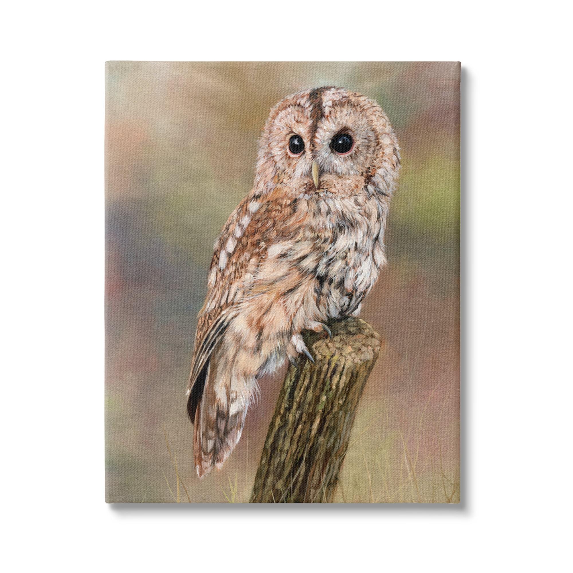 Stupell Industries Brown Tawny Owl Perched Intricate Woodland Wildlife Painting Painting Gallery Wrapped Canvas Print Wall Art, Design by David Stribbling