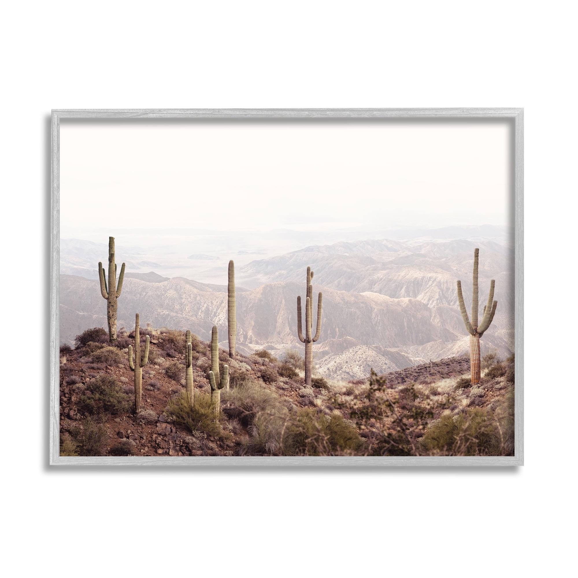 Stupell Industries " Cacti Overlooking Desert " by Sisi And Seb