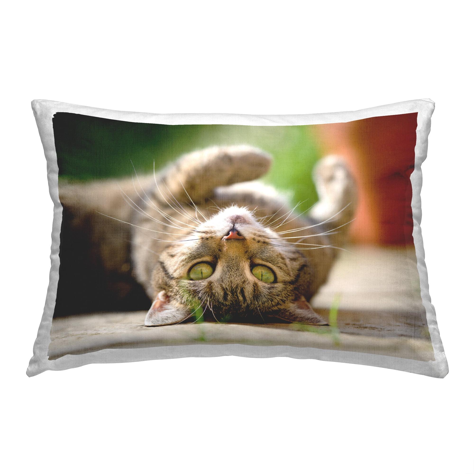 Cat Print Decorative Throw Pillow with Insert, 14 x 20