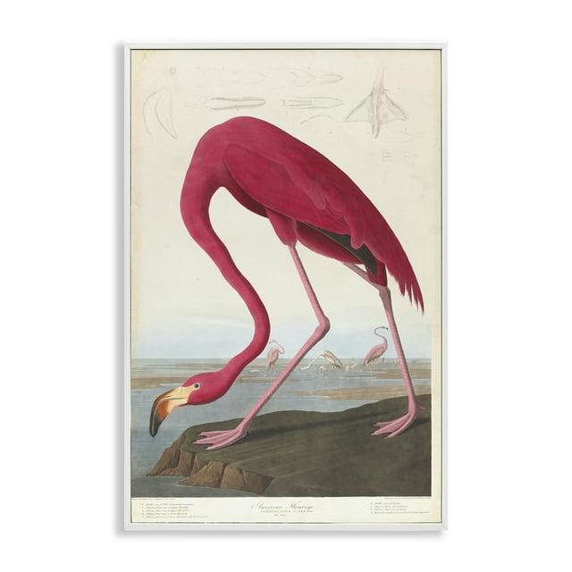 Stupell Industries Classic American Flamingo Framed Giclee Art by one1000paintings
