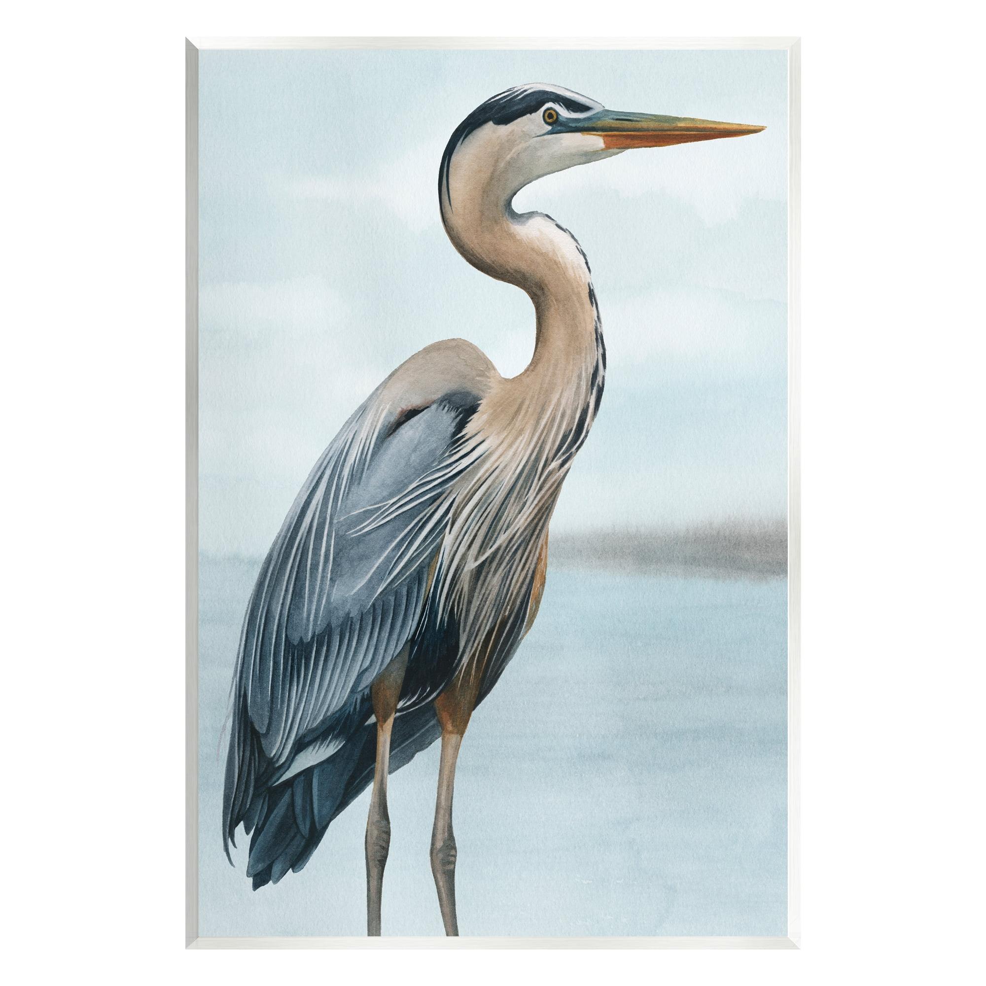 Stupell Industries " Coastal Heron Portrait " by Grace Popp Painting Print