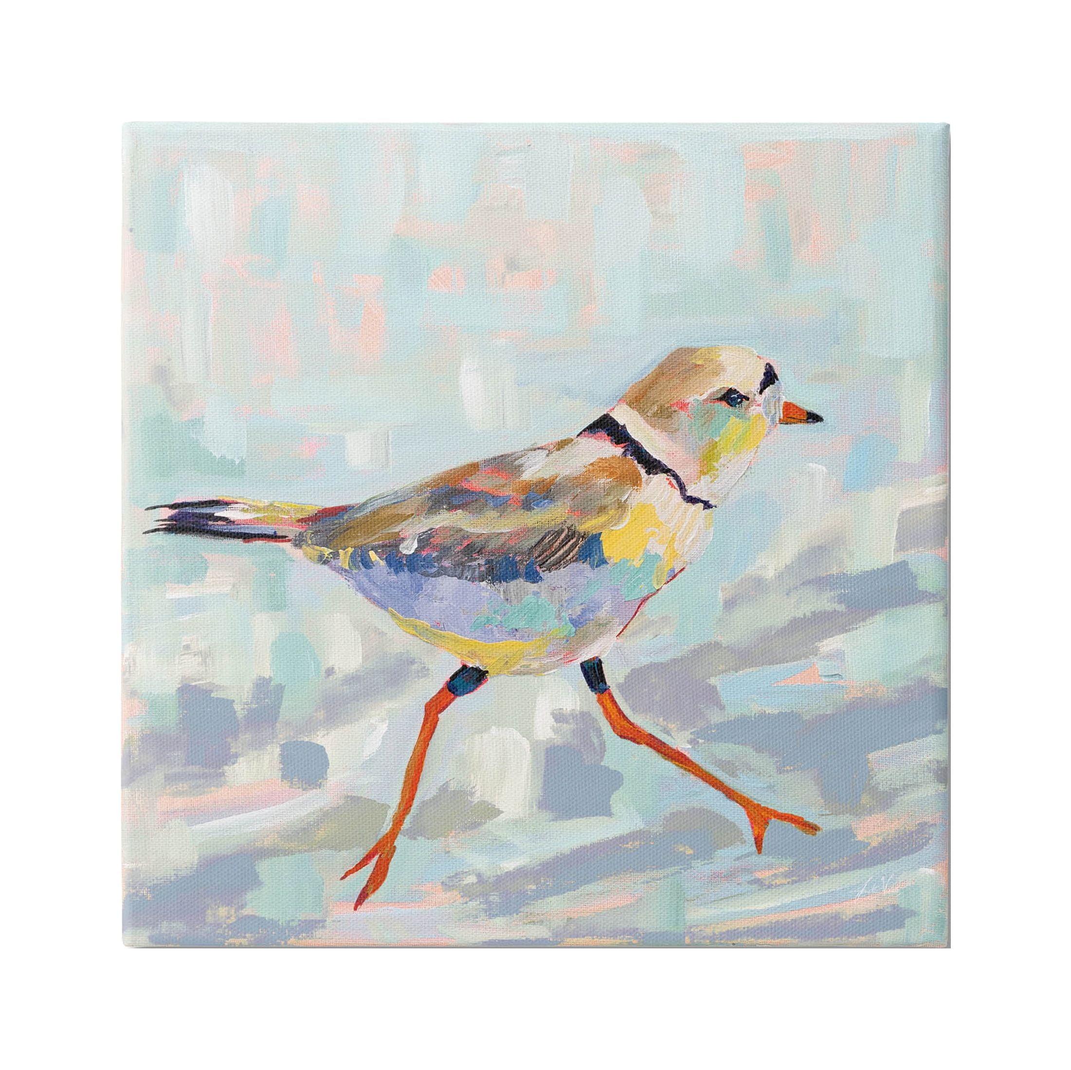 Stupell Industries Coastal Plover Abstract Bird Gallery Wrapped Canvas Wall Art