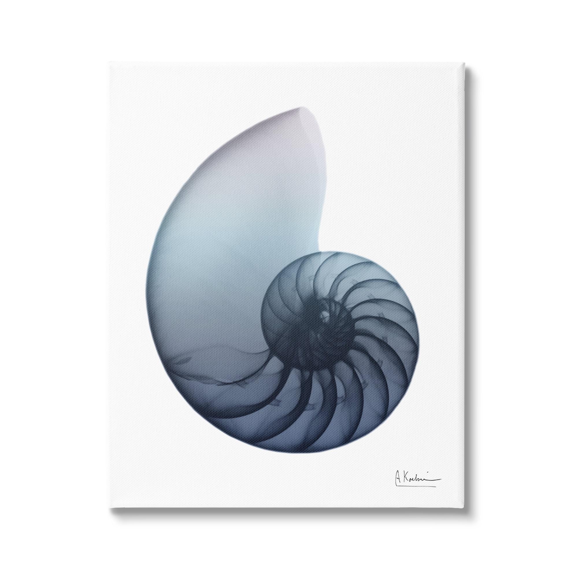 Stupell Industries Contemporary Nautilus Shell, 16" x 20"