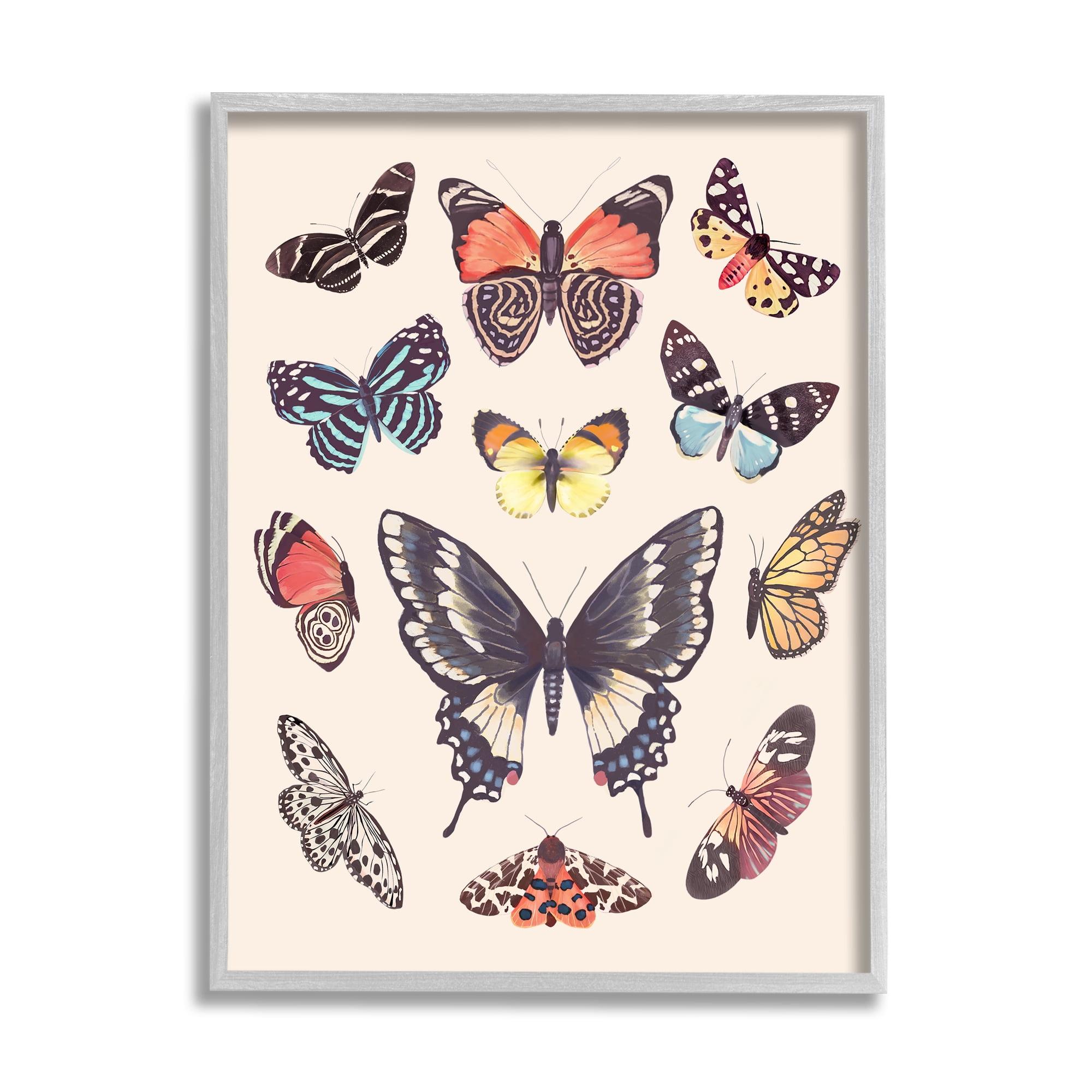 Stupell Industries Ax-660-Giclee " Cottage Moths And Butterflies " by Diane Neukirch