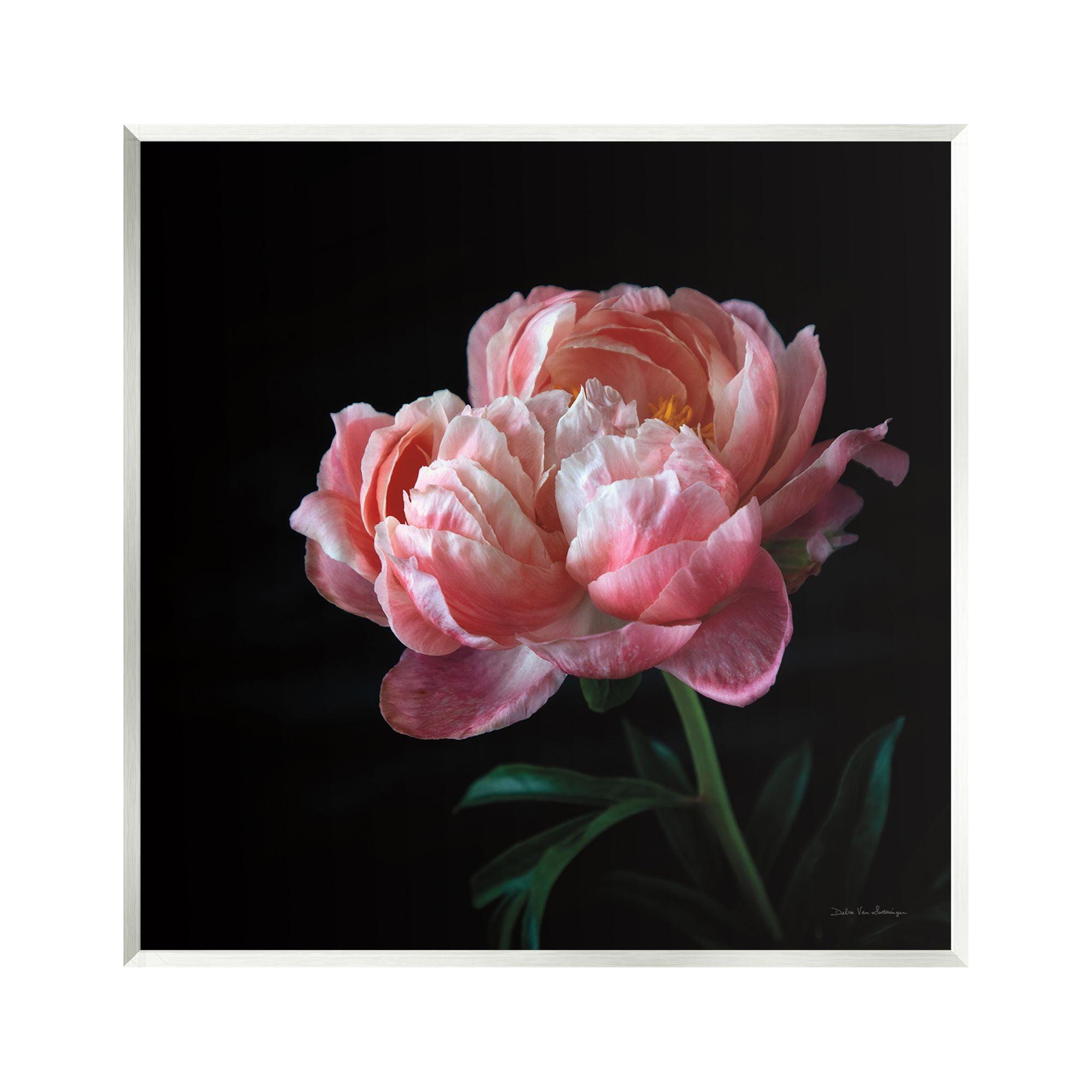 Bb-159-Wood " Dark Rose Photography " by Debra Van Swearingen