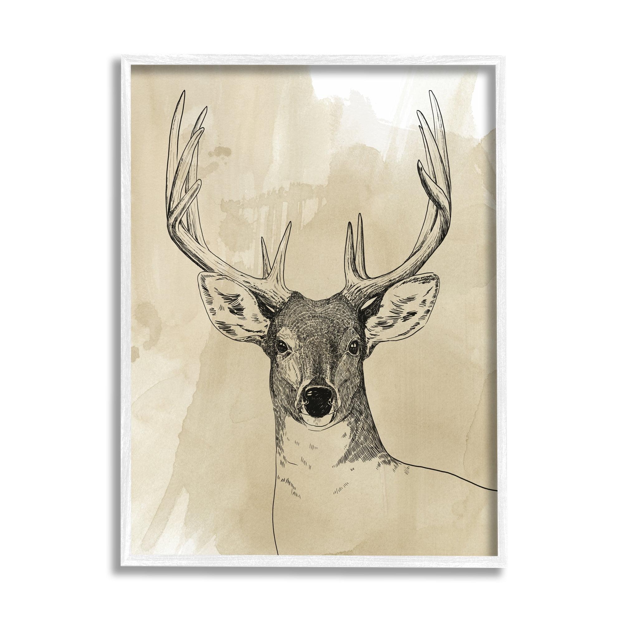 Stupell Industries " Deer Portrait Drawing " by Grace Popp