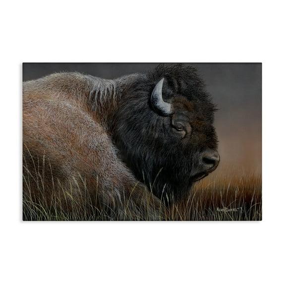 Stupell Industries Detailed Bison Close Up Animals Painting Wrapped Canvas Art Print Wall Art, 24 x 16