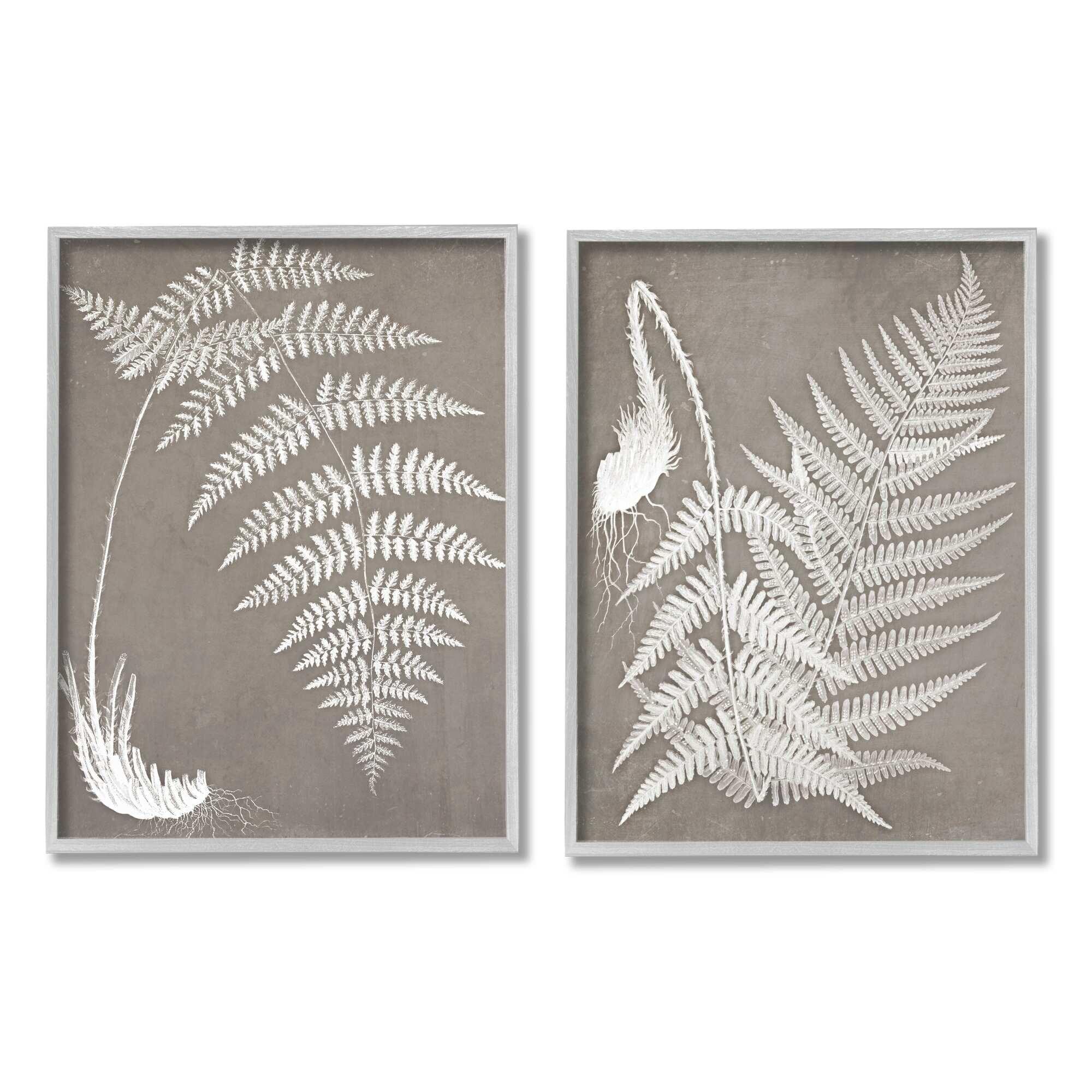 Stupell Industries " Detailed Fern Plant White Botanical Herb Roots " by Graffitee Studios 2 - Pieces