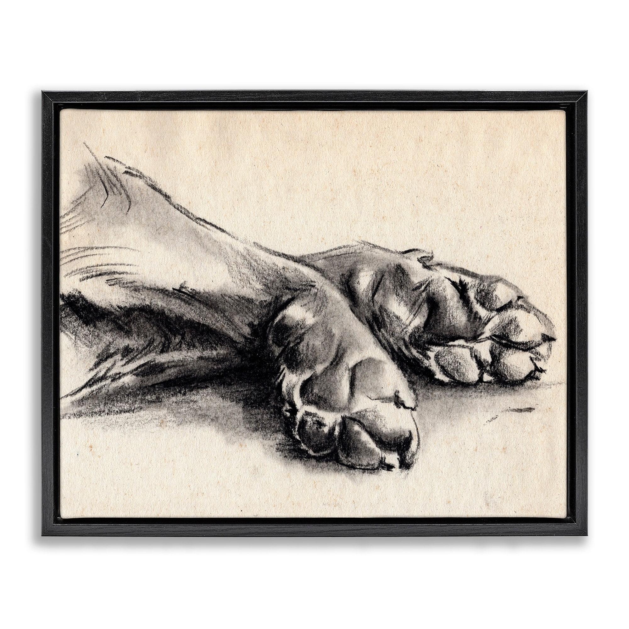 Stupell Industries Dog Paw Charcoal Design Minimal Tan Black Black Floater Framed Canvas Wall Art, 24 x 30