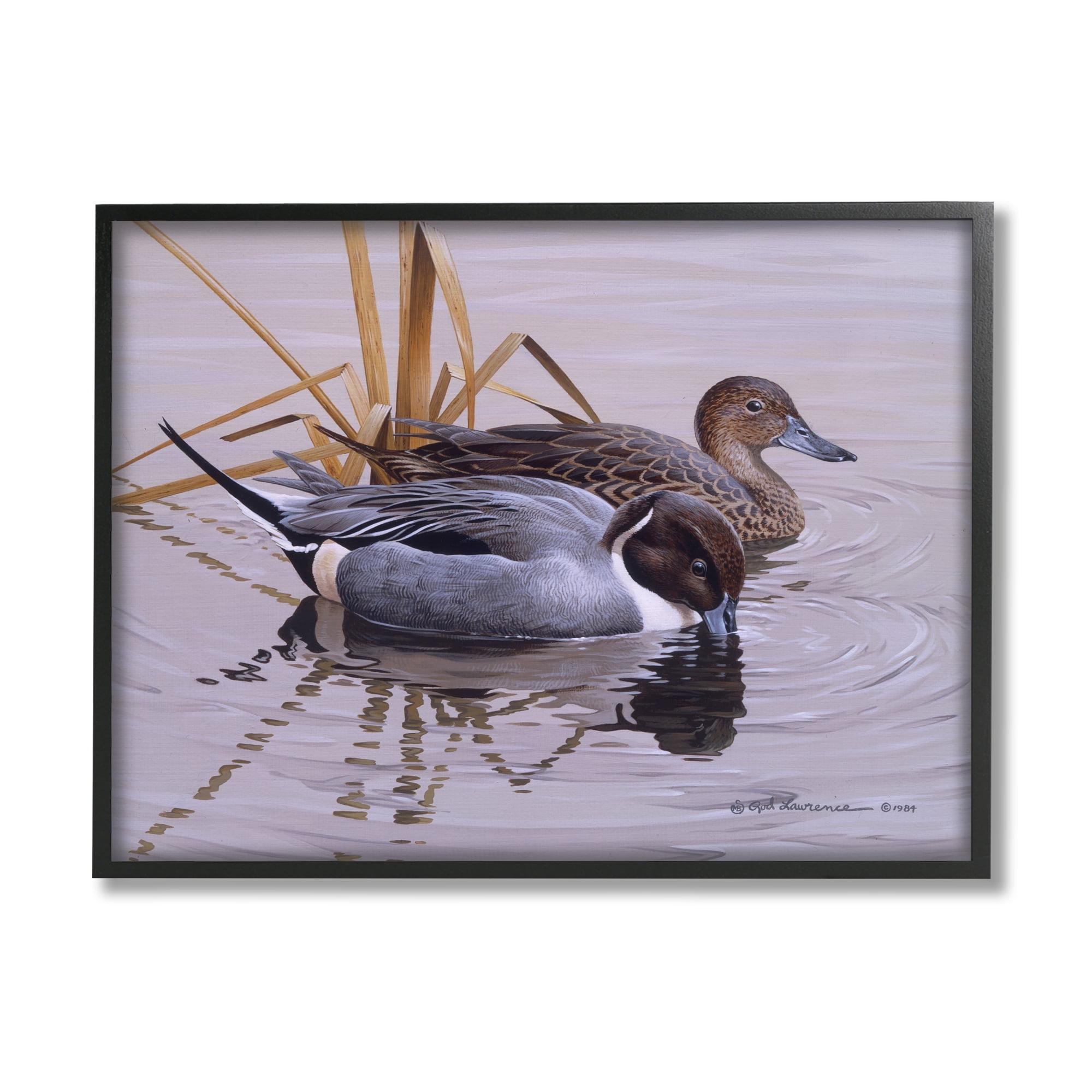 Stupell Industries Ducks with Pond Ripples Animals & Insects Painting Black Framed Art Print Wall Art, 20 x 16