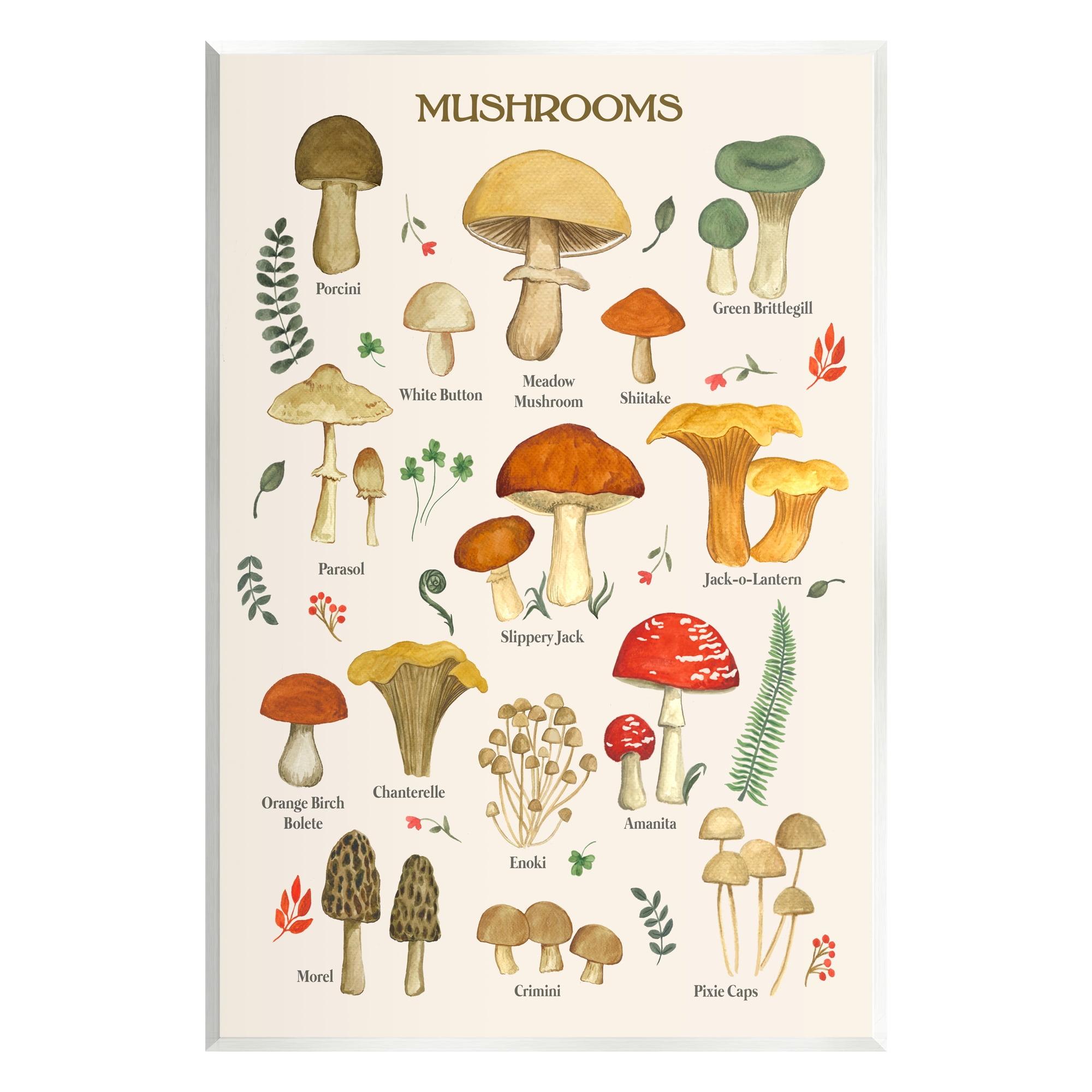 Vintage Botanical Mushroom Study Wall Plaque Art, 13 x 19