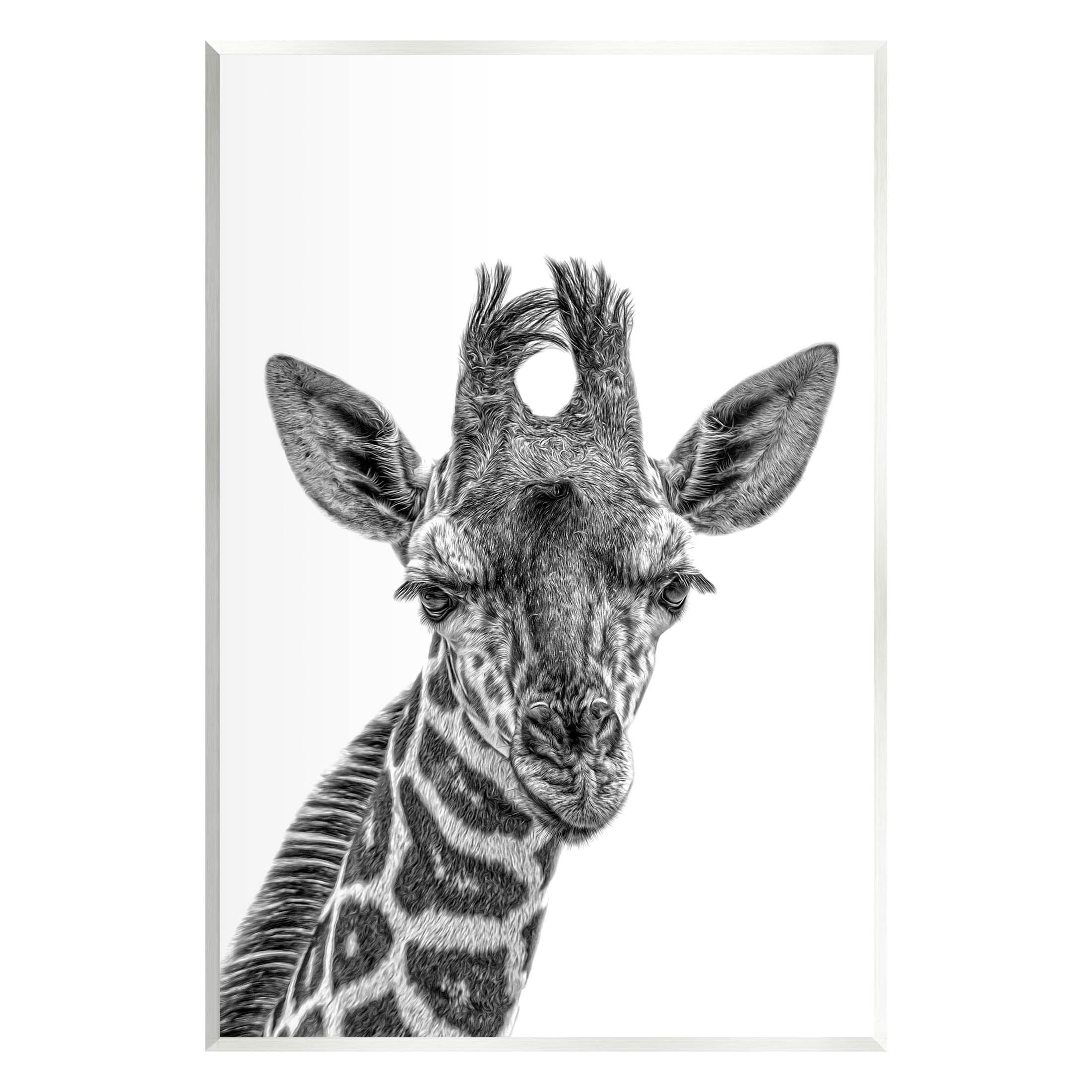 Giraffe Gazing Wildlife Portrait 10x15 MDF Wall Art