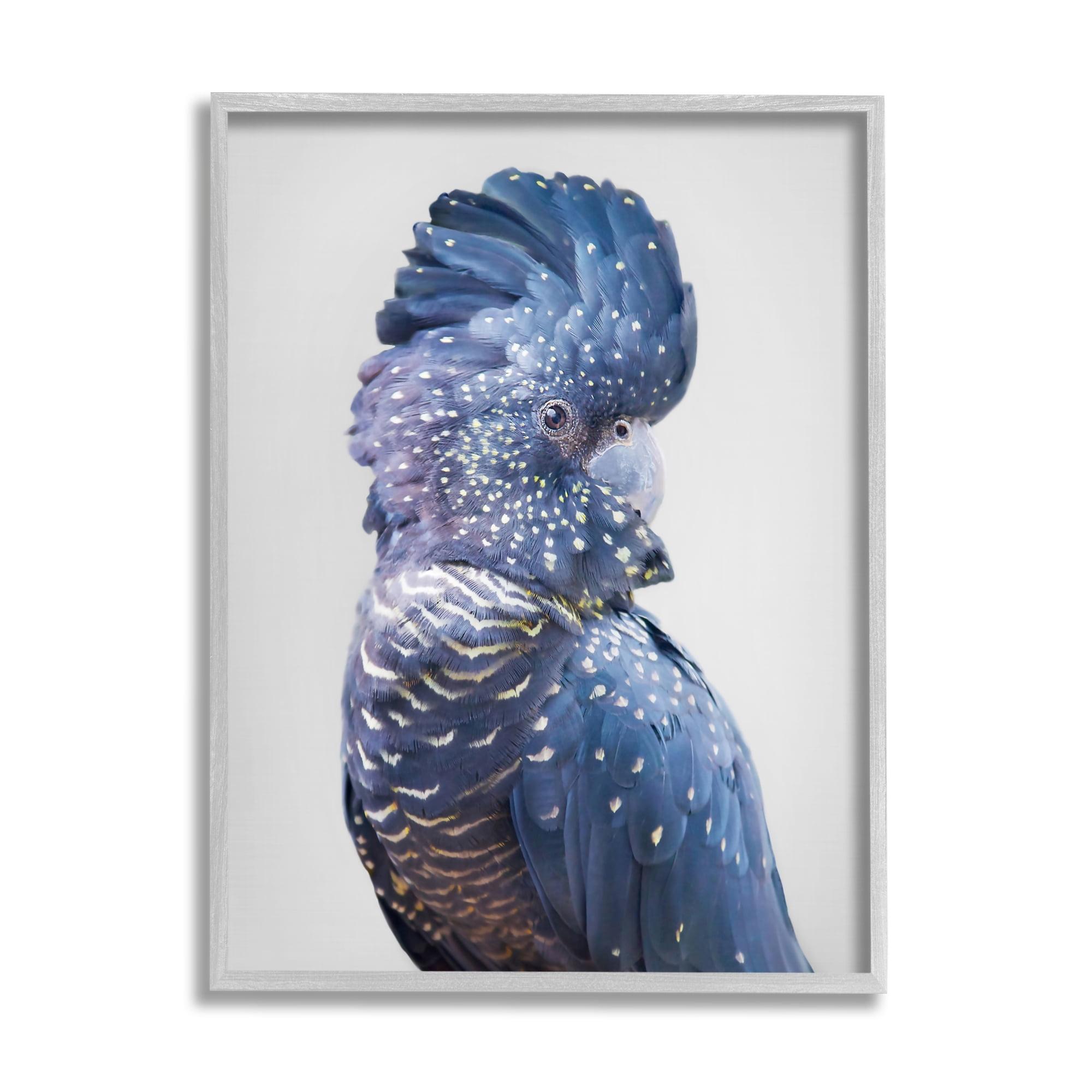 Stupell Industries Grey Cockatoo Portrait Canvas Wall Art Design by Sisi and Seb | Wayfair