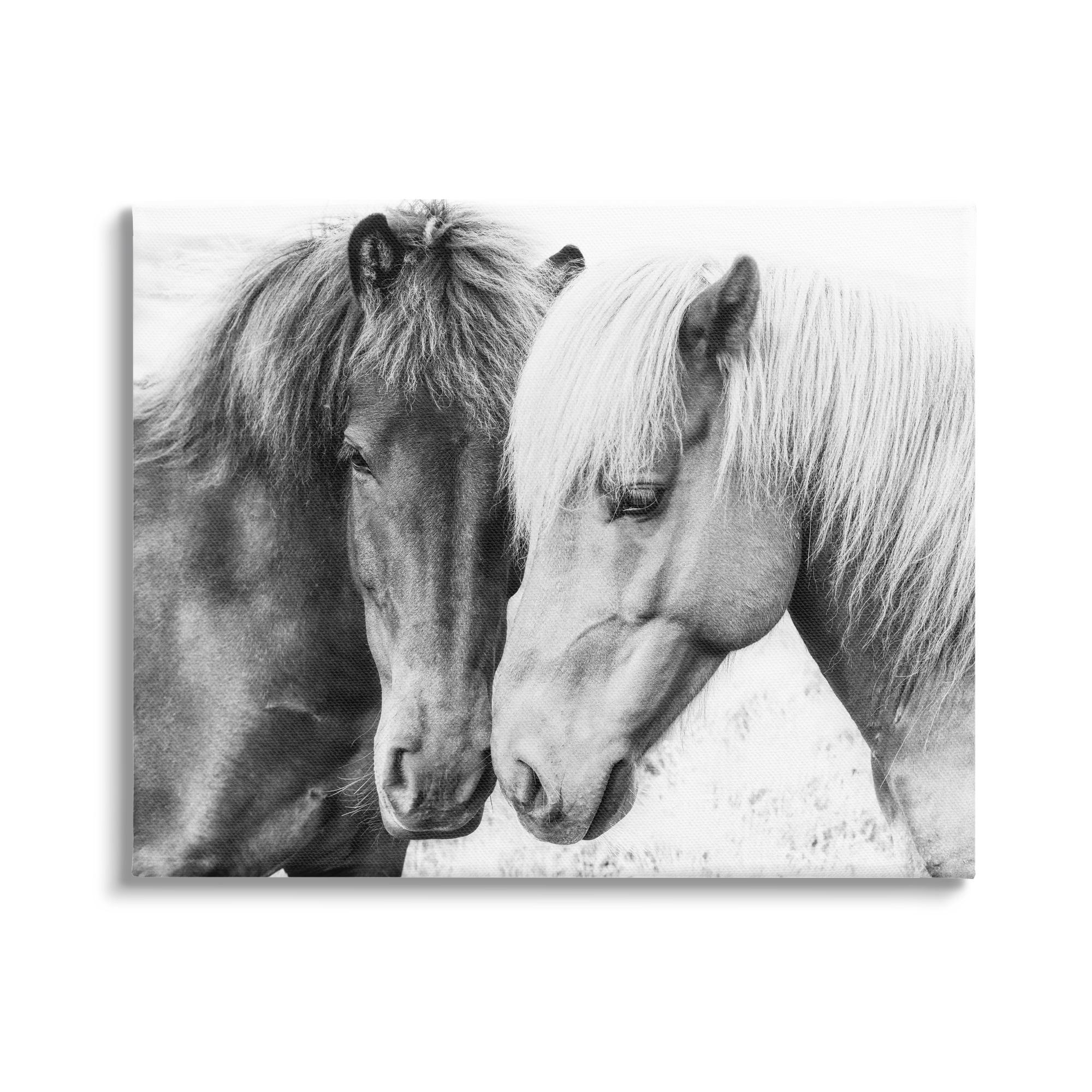 Stupell Industries " Horse Love Duo Portrait " by Sisi And Seb