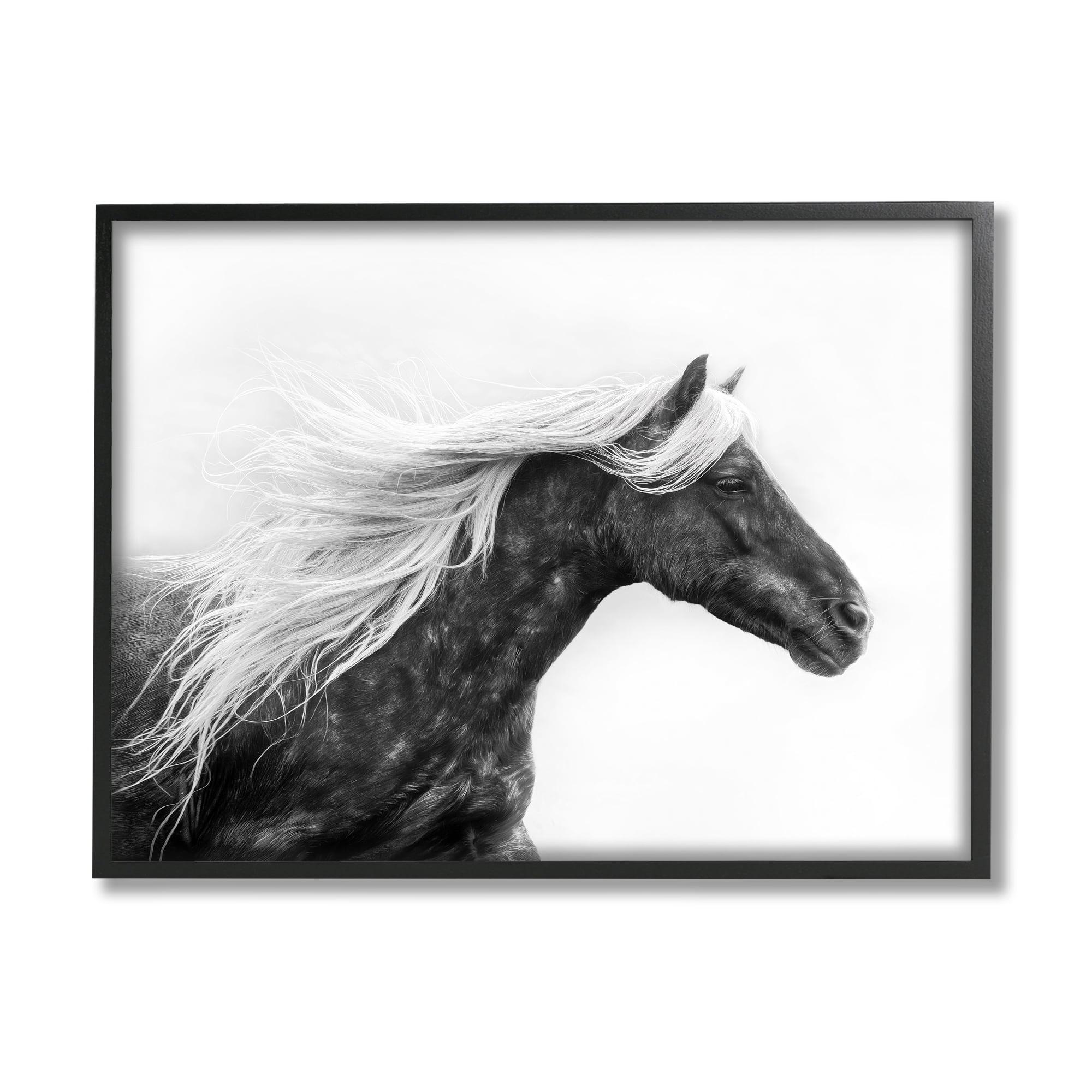 Ba-330-Framed " Horse With White Mane " by PHBurchett