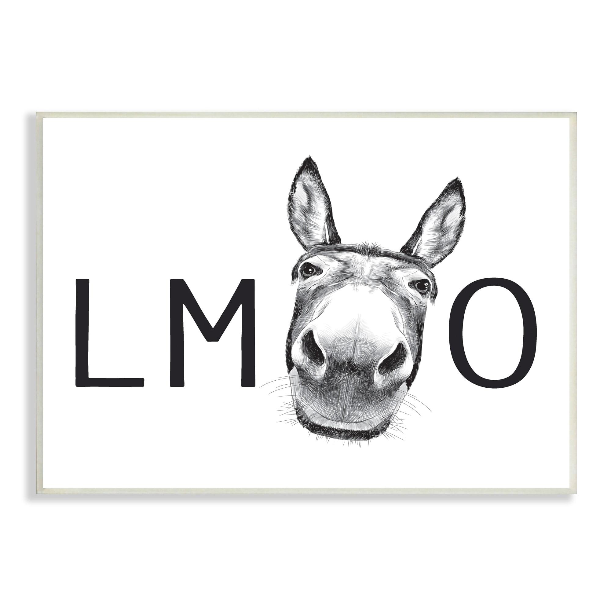 Stupell Industries " LMAO Donkey Amusing Monochrome Casual Animal Humor "