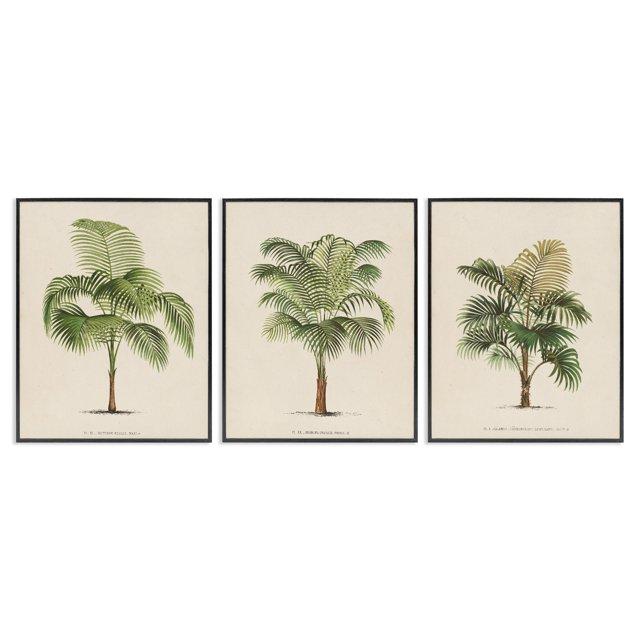 Stupell Industries Les Palmiers Botanical Trio 3 Piece Giclee Art Set by World Art Group