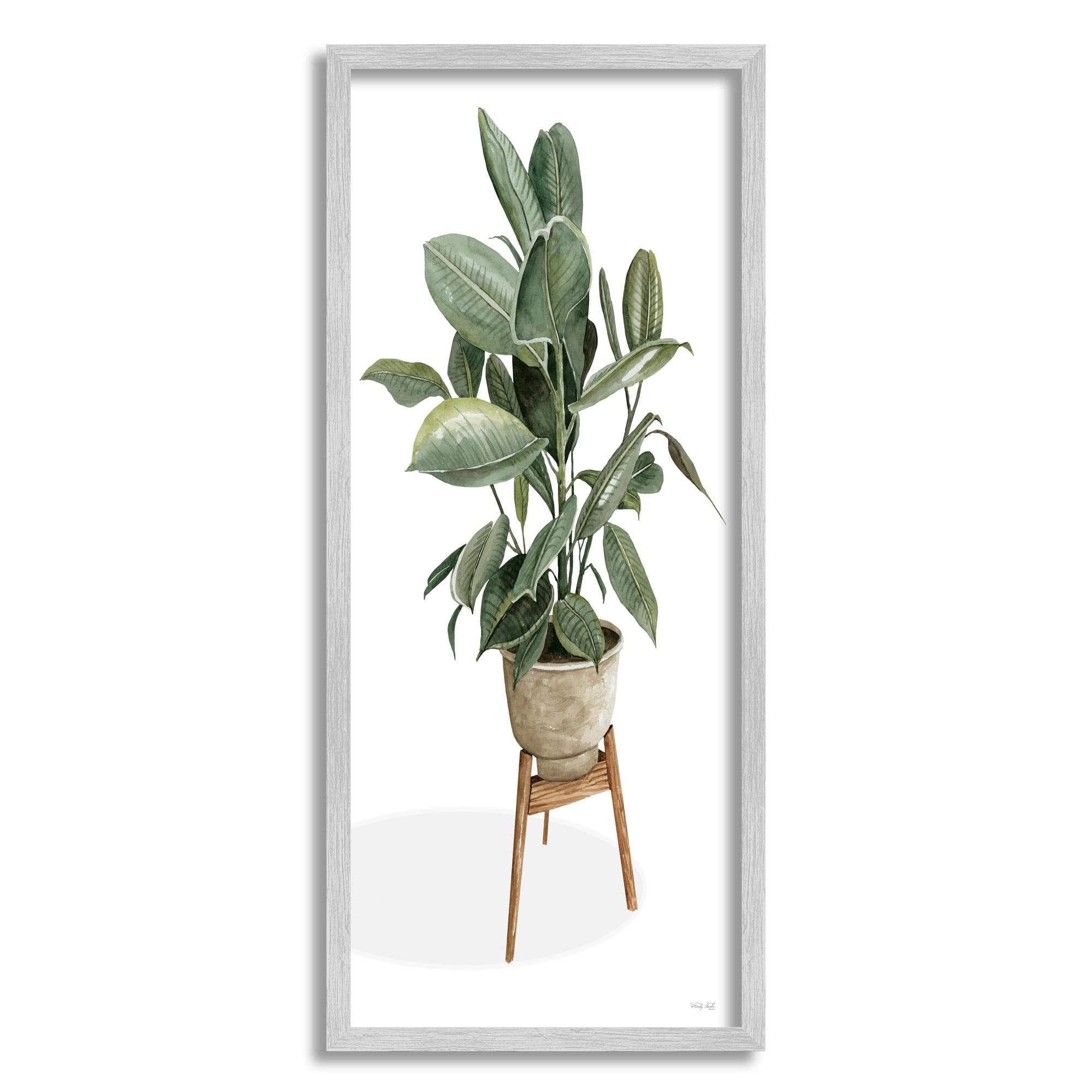 Stupell Industries " Lush Green Potted House Plant Round Leaves " by Cindy Jacobs