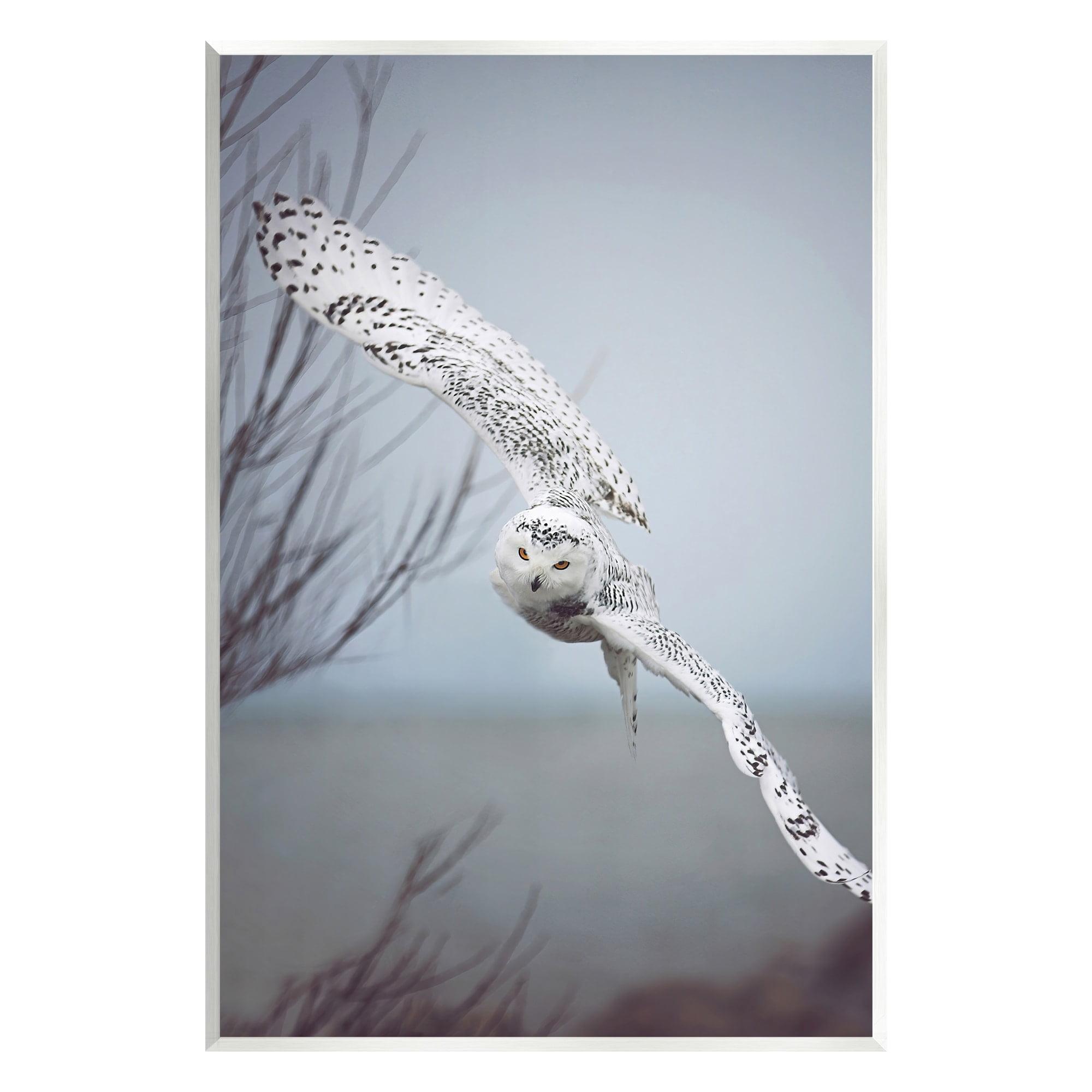 Stupell Industries " Majestic Snowy Owl Flying Wingspan Wildlife " by Carrie Ann Grippo-Pike