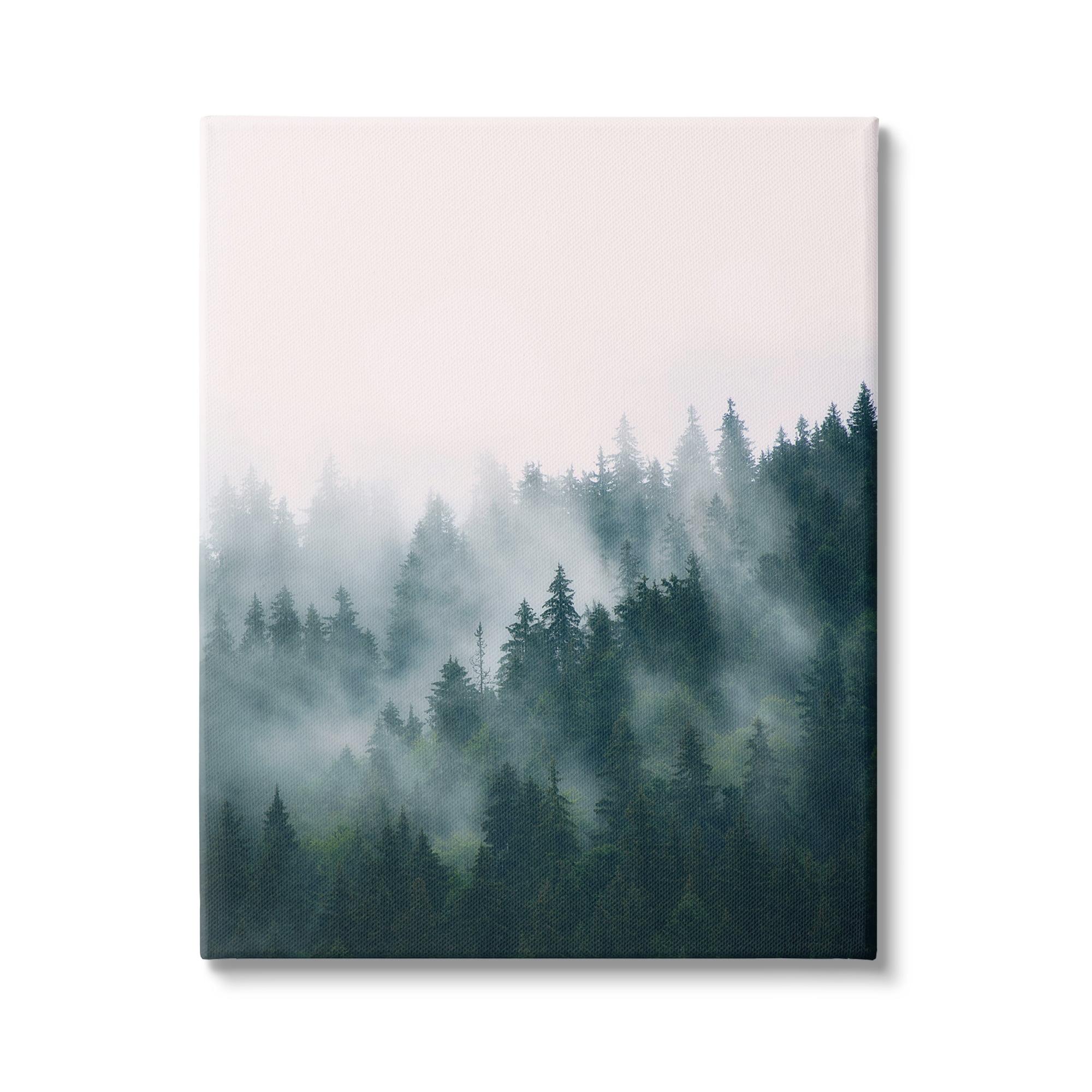 " Misty Forest Trees " by Sisi And Seb