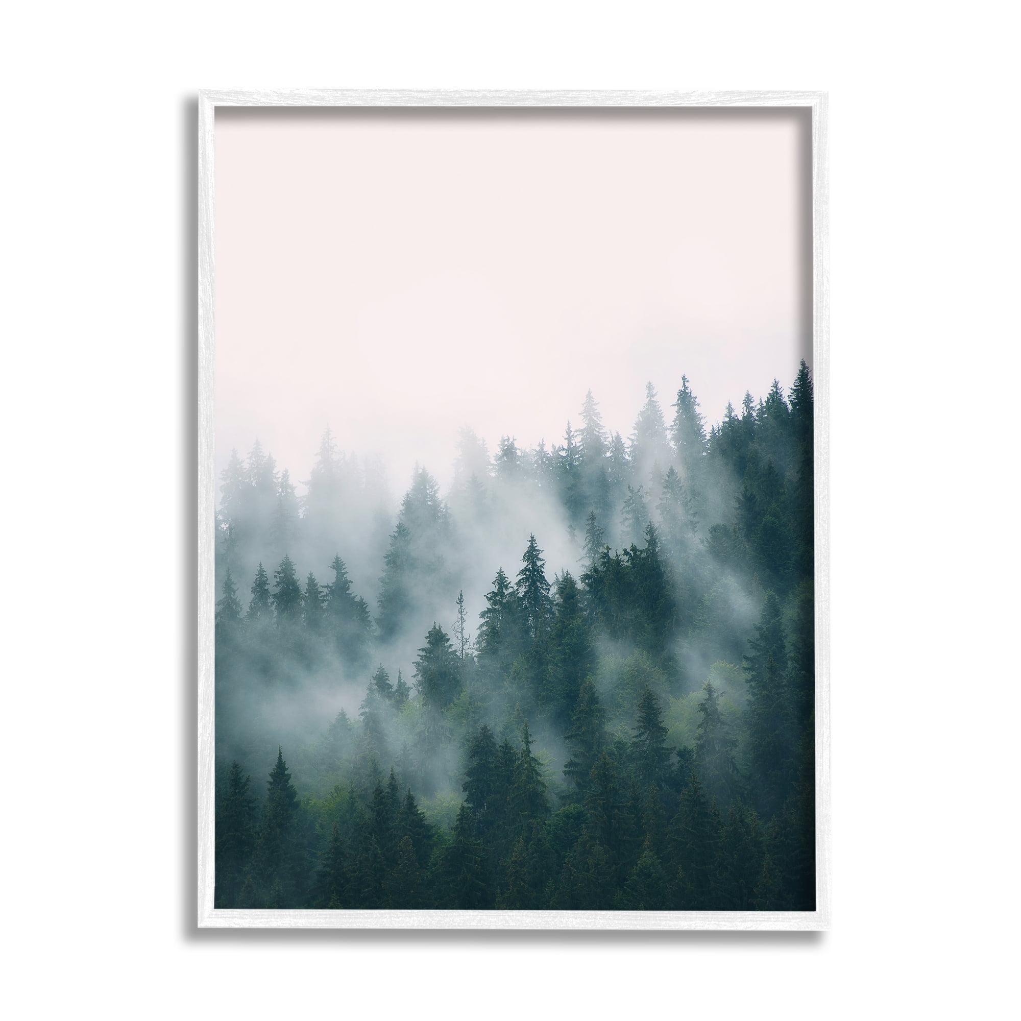 " Misty Forest Trees " by Sisi And Seb