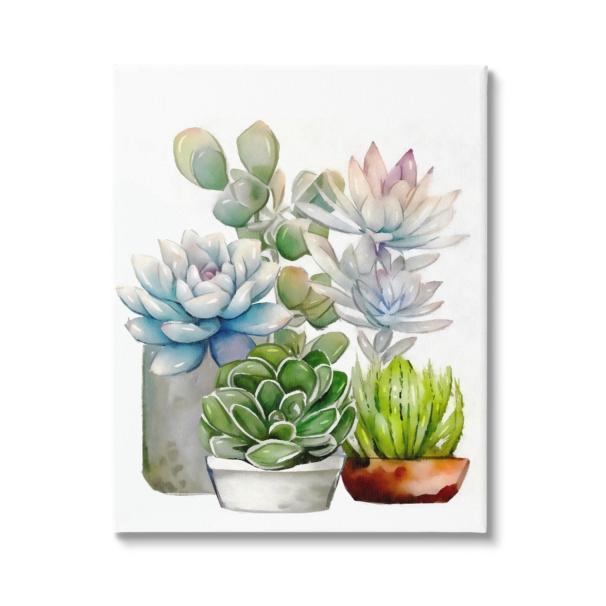 Mixed Potted Succulent Garden Canvas Wall Art 16 x 20