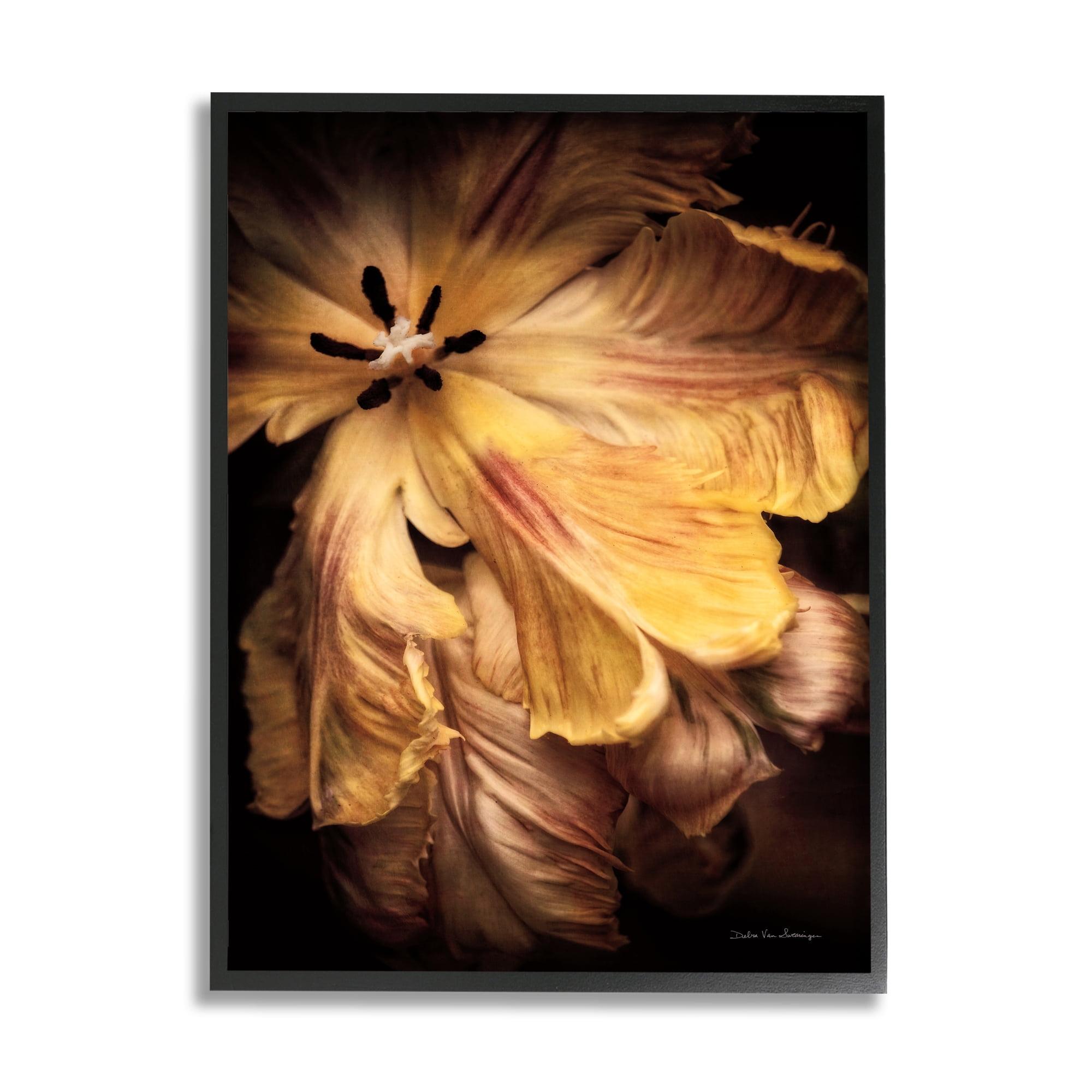 Stupell Industries " Hibiscus " by Debra Van Swearingen