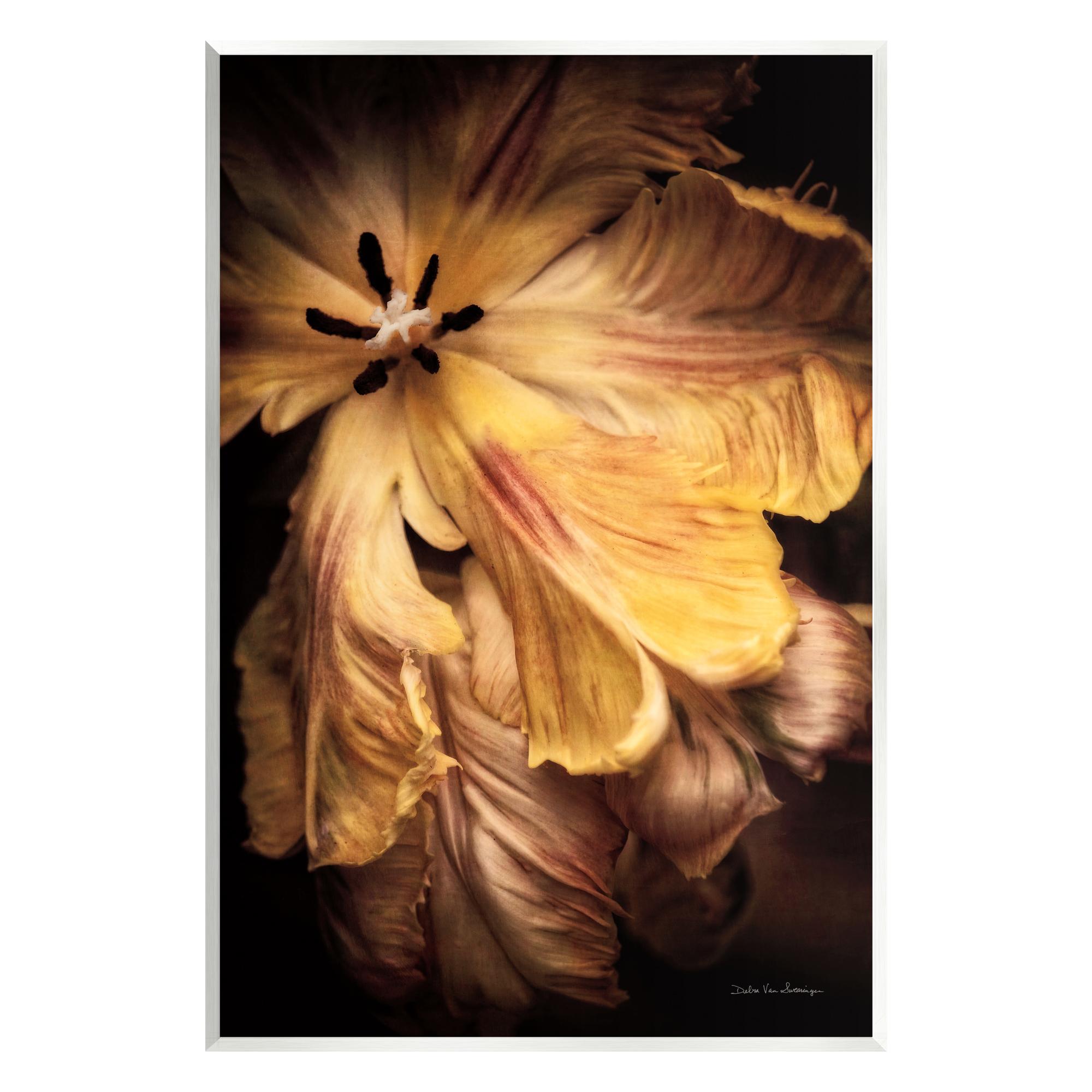 Stupell Industries " Modern Hibiscus Photography " by Debra Van Swearingen
