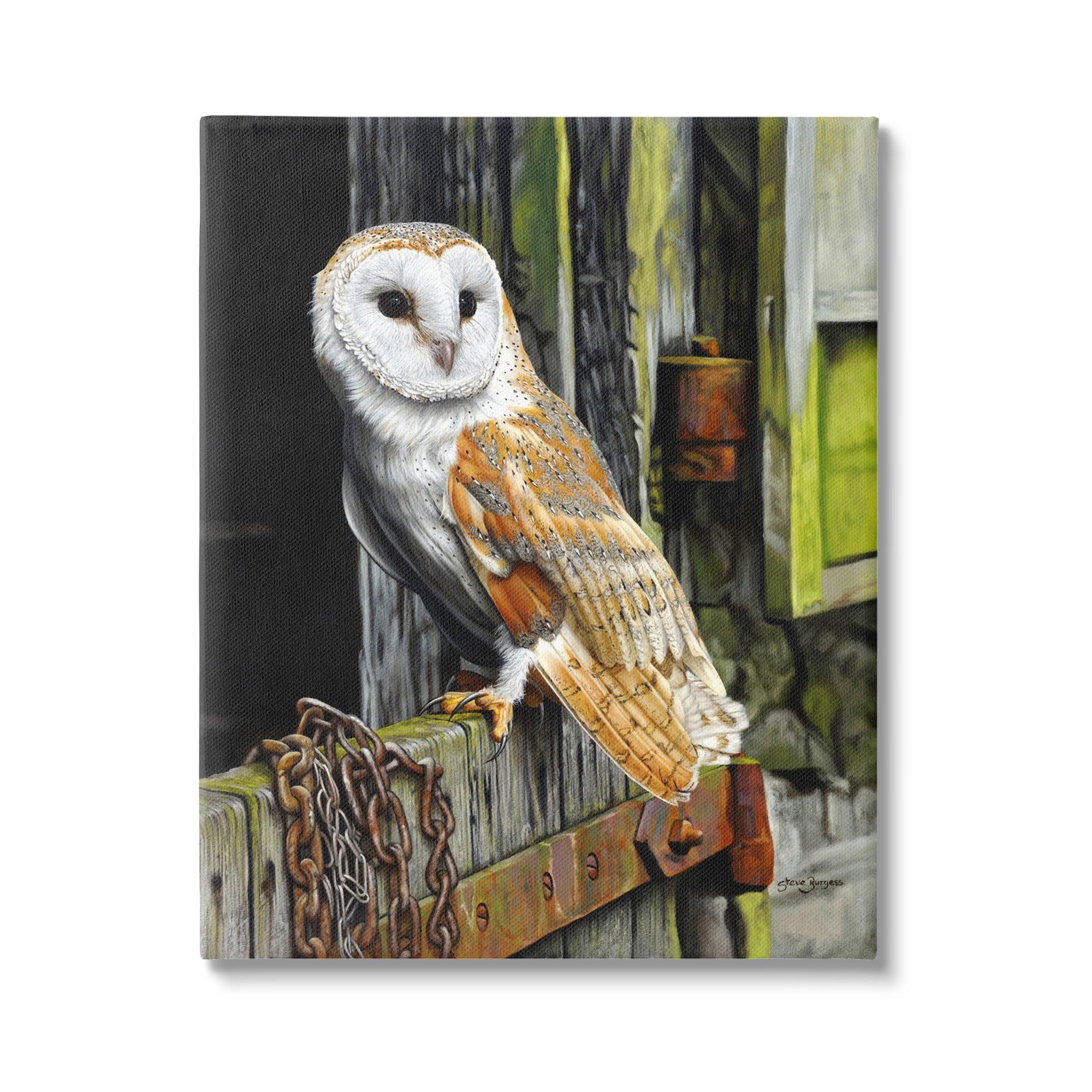 Stupell Industries " Owl Perched On Barn Door " by Steve Burgess Painting Print