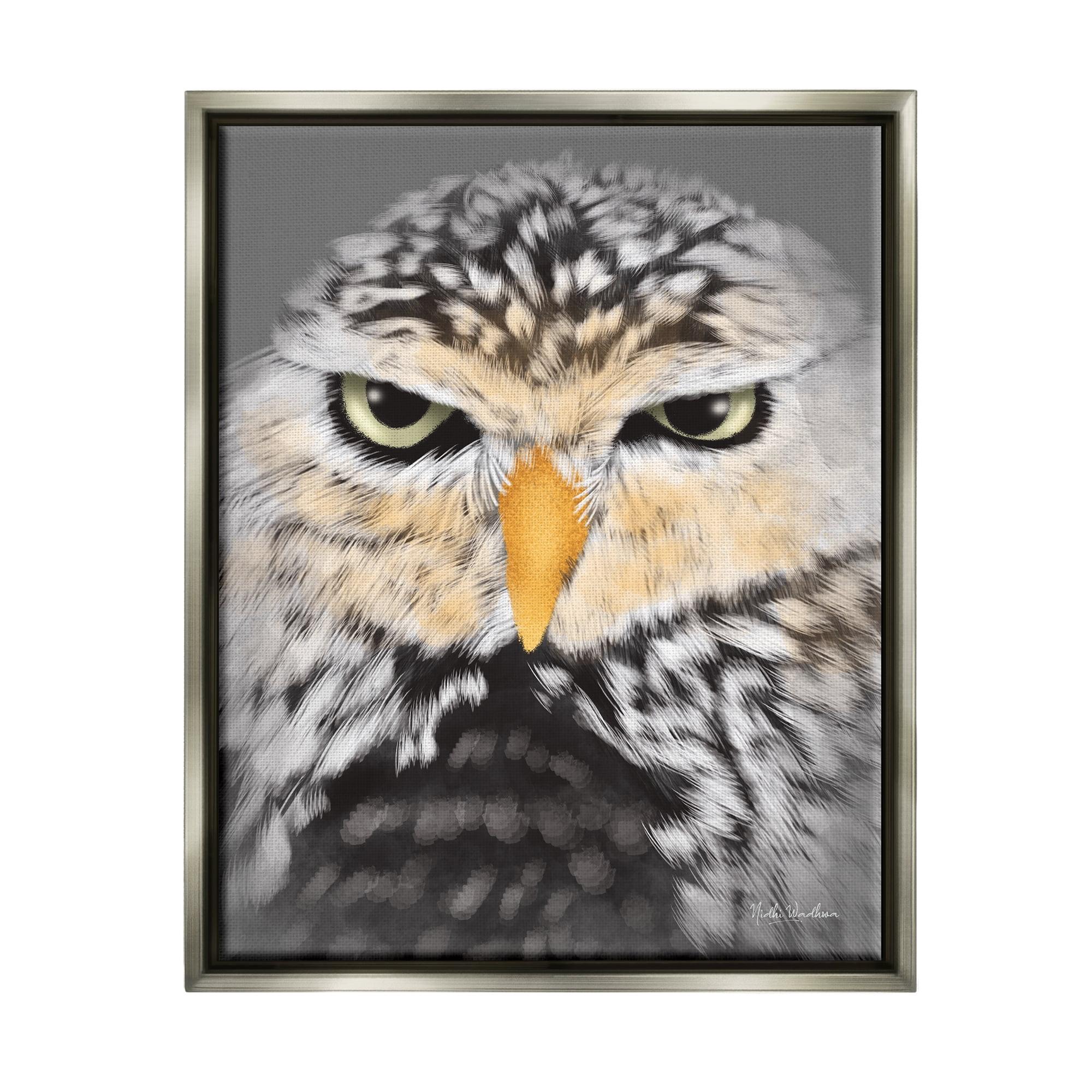 Gray Floater Framed Owl Wildlife Canvas Print, 17 x 21