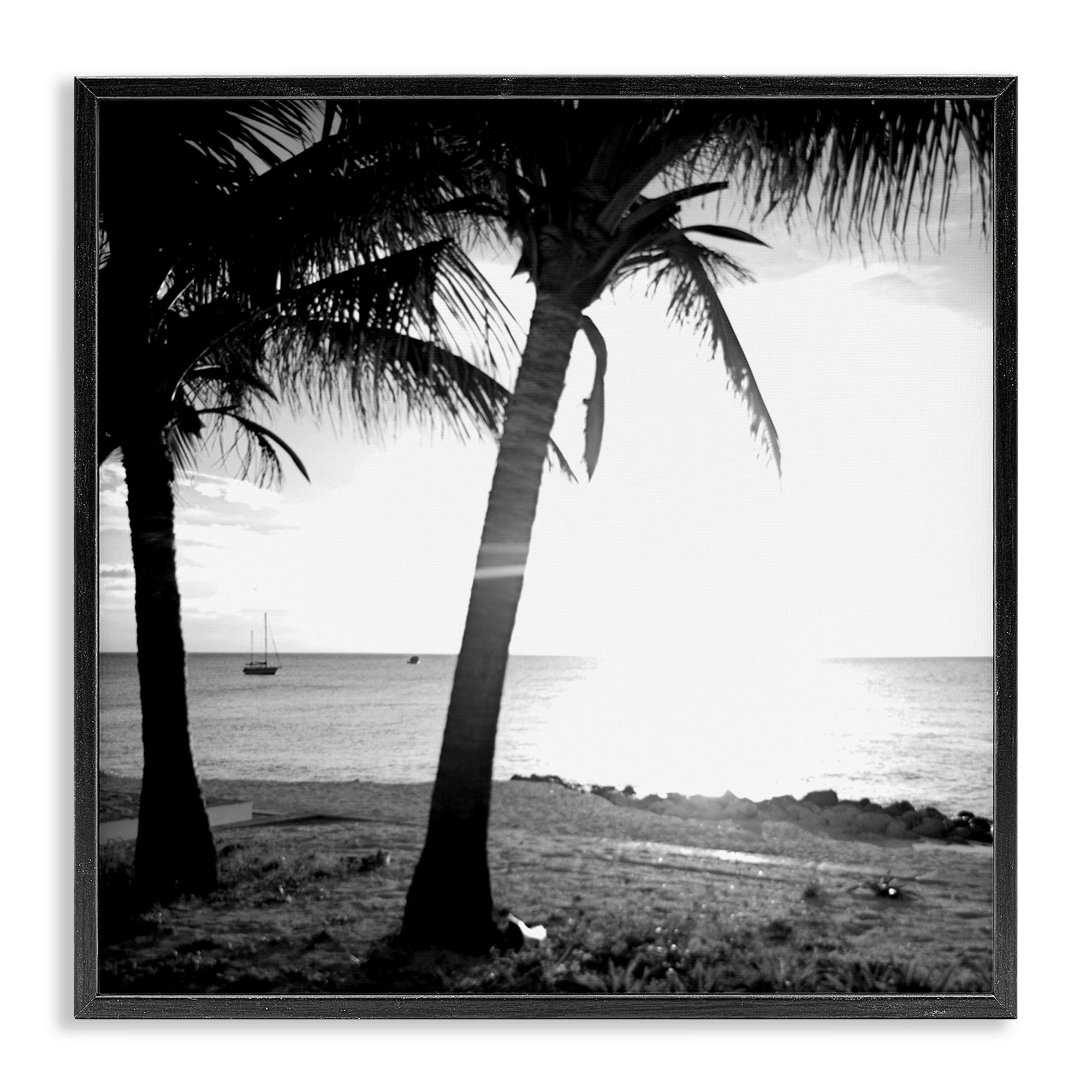 Stupell Industries Palm Tree Silhouettes Coastal Photography Black Framed Art Print Wall Art, 17 x 17