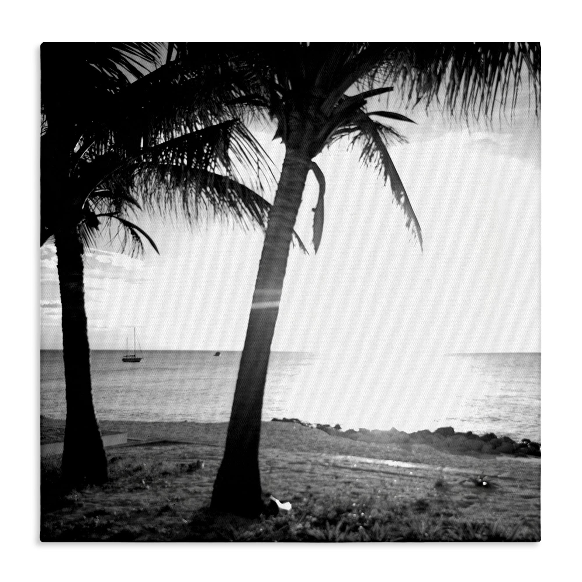 Stupell Industries Palm Tree Silhouettes Coastal Photography Gallery Wrapped Canvas Art Print Wall Art, 17 x 17