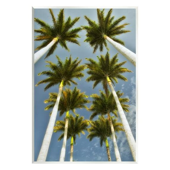 Stupell Industries Palm Trees Overhead Nature Photography Unframed Art Print Wall Art, 13 x 19