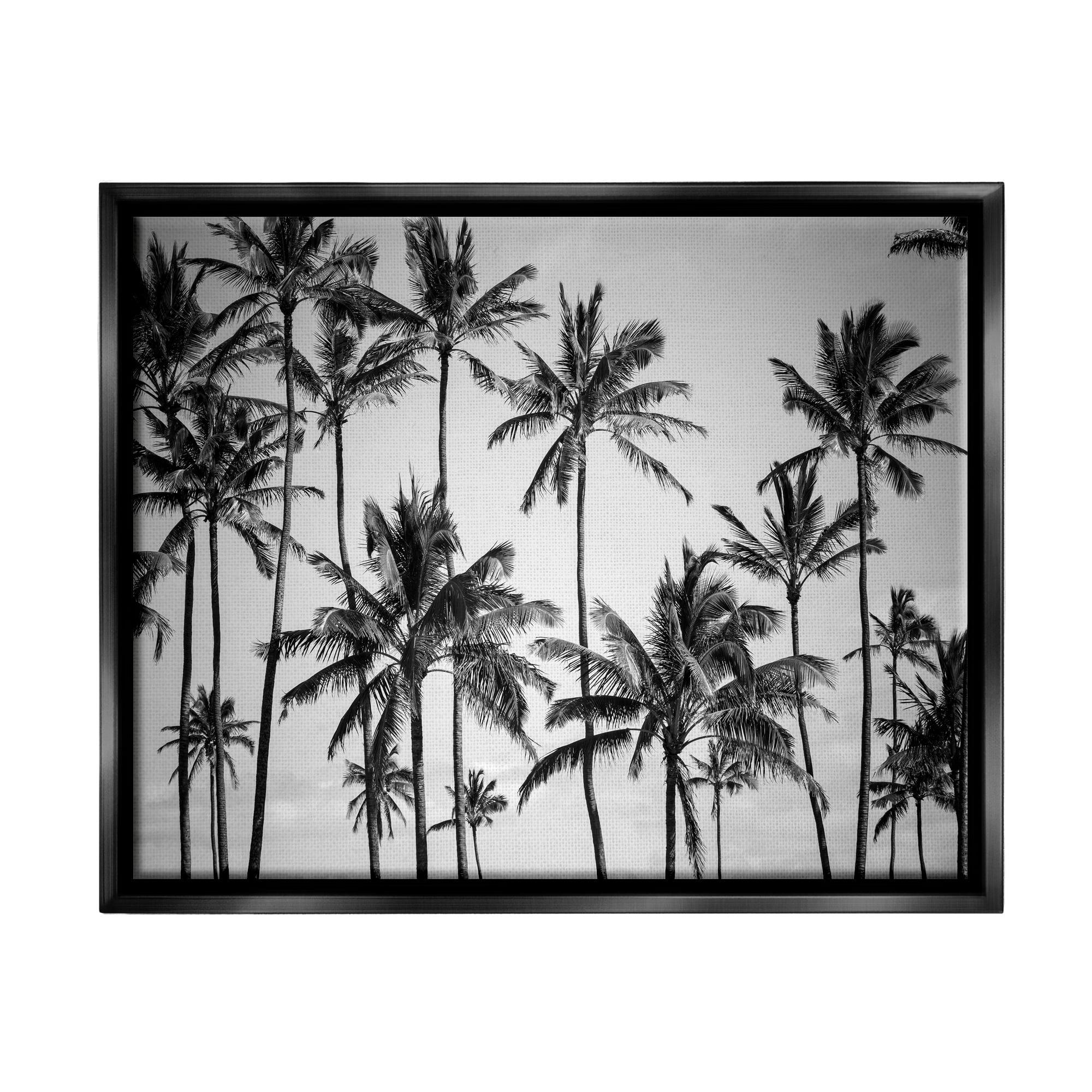 Stupell Industries Palm Trees Skyline Black and White Photography Black Floater Framed Canvas Wall Art, 16 x 20
