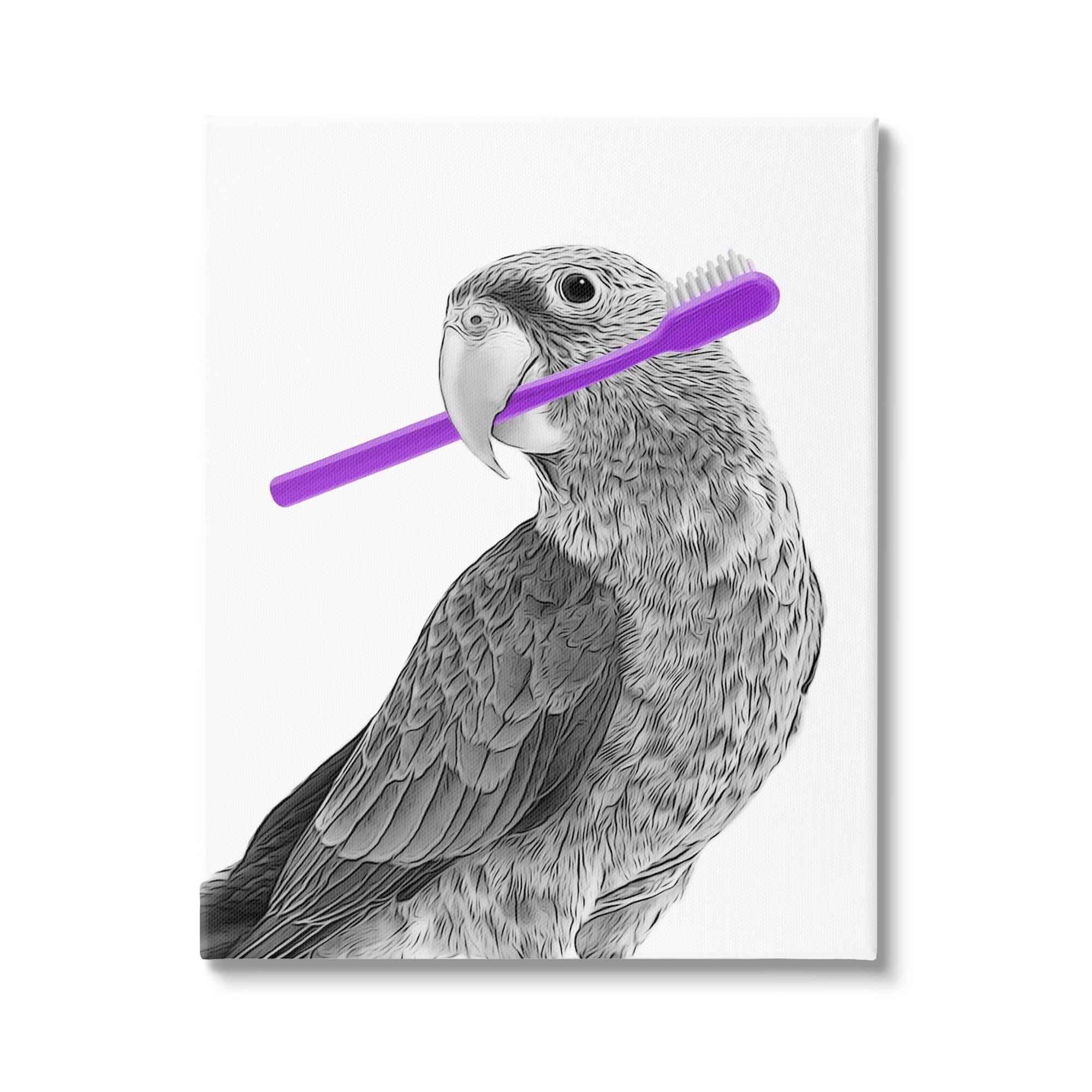 Stupell Industries Aw-316-Canvas " Parrot With Toothbrush Funny Bird " by Annalisa Latella
